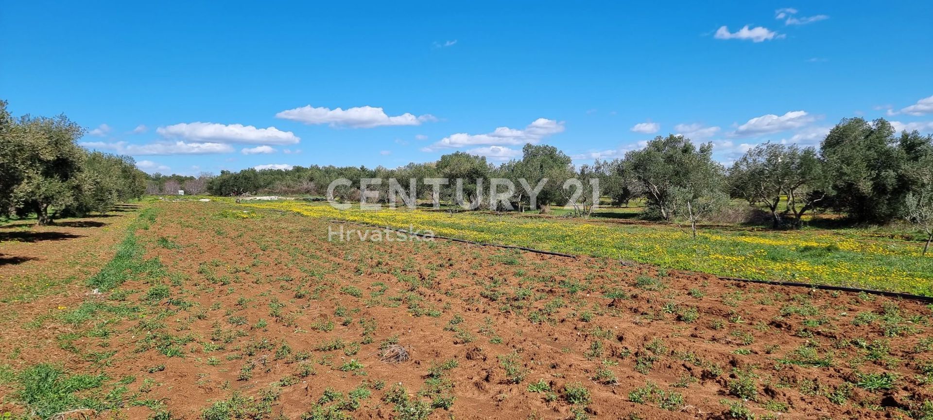 Land in Biograd na Moru, Zadarska Zupanija 11722712