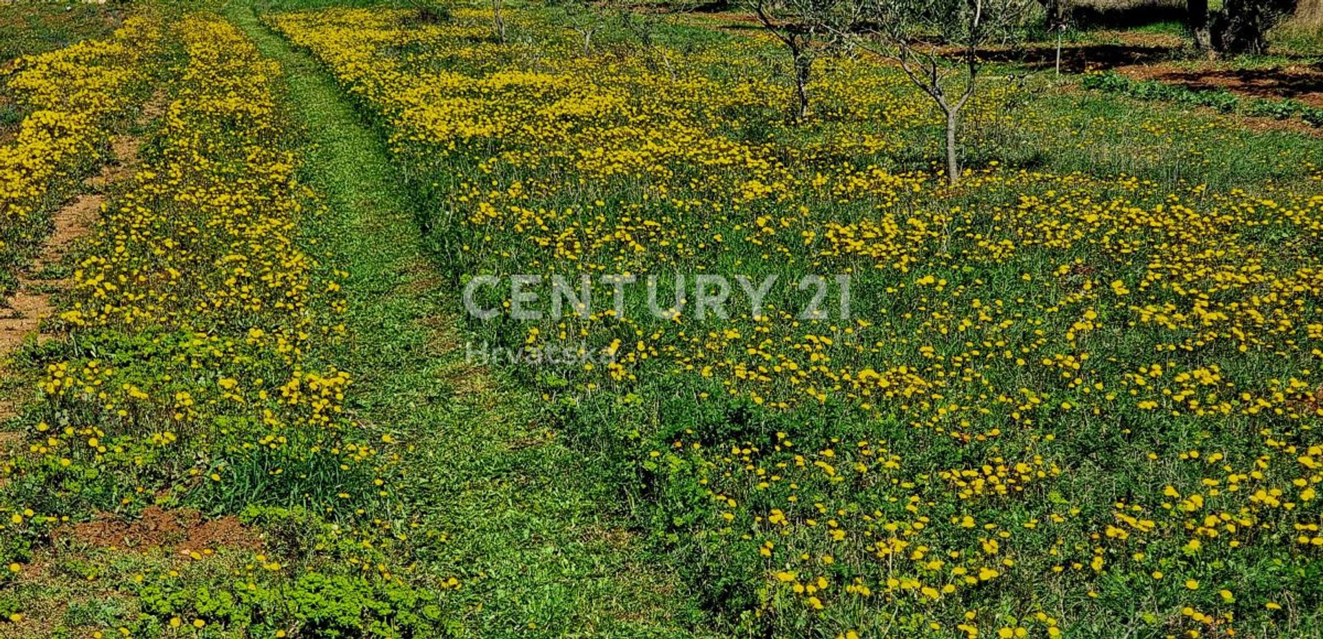 Land in Biograd na Moru, Zadarska Zupanija 11722712