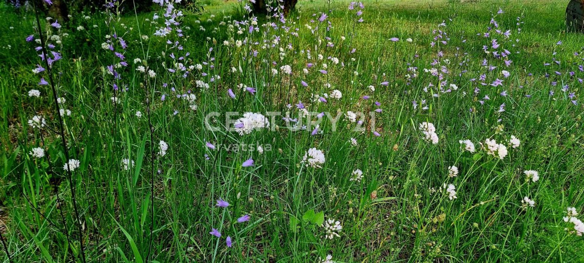 Land in Biograd na Moru, Zadarska Zupanija 11722712