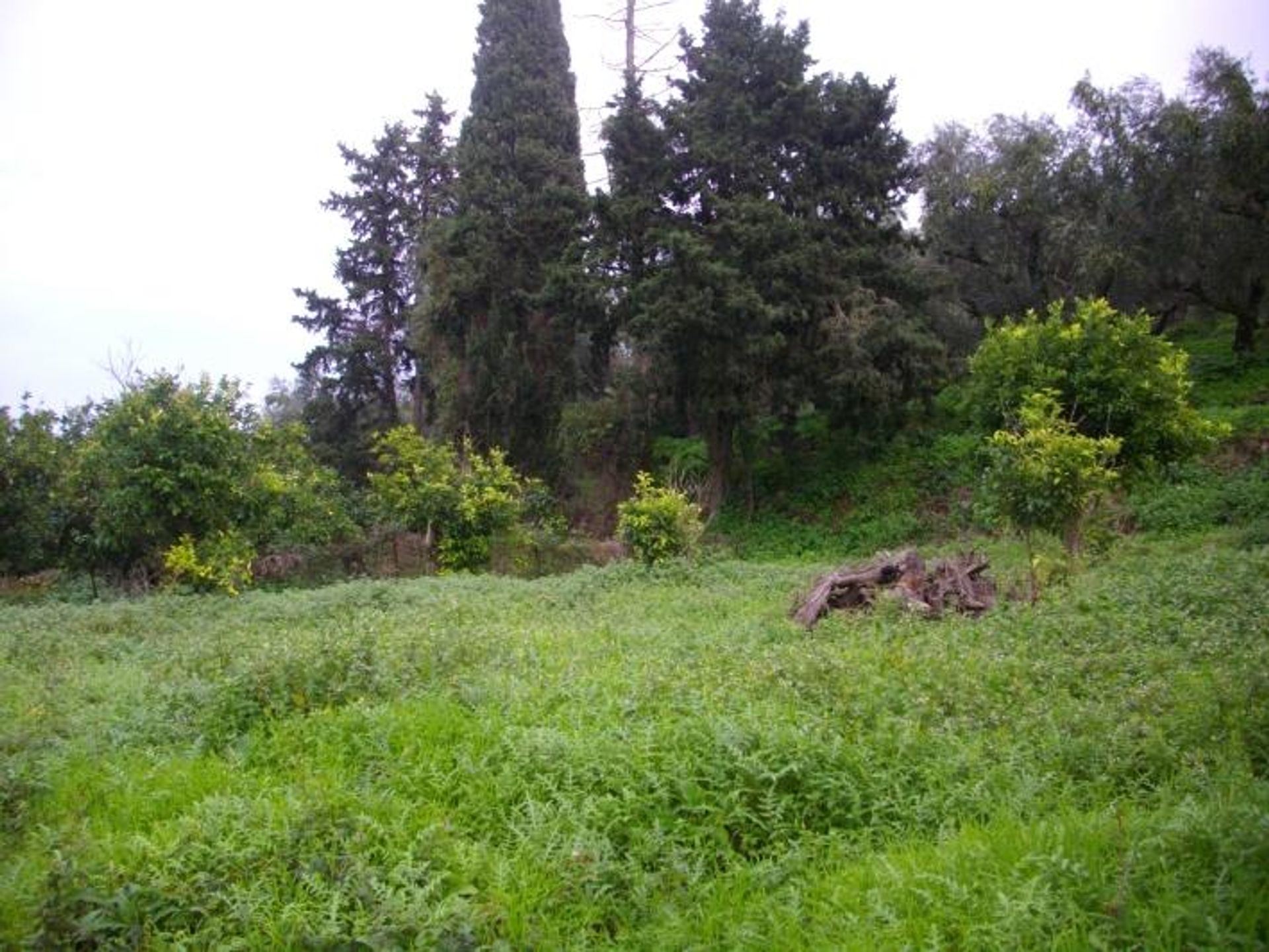 Land in Gaitani, Ionië Nisia 11723231