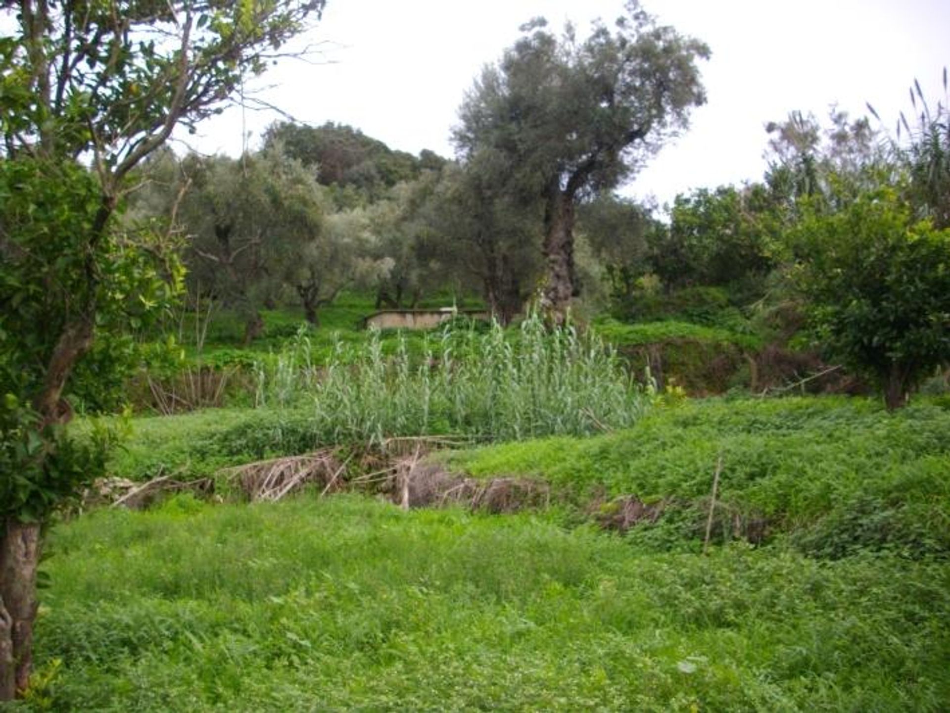 Land in Gaitani, Ionië Nisia 11723231