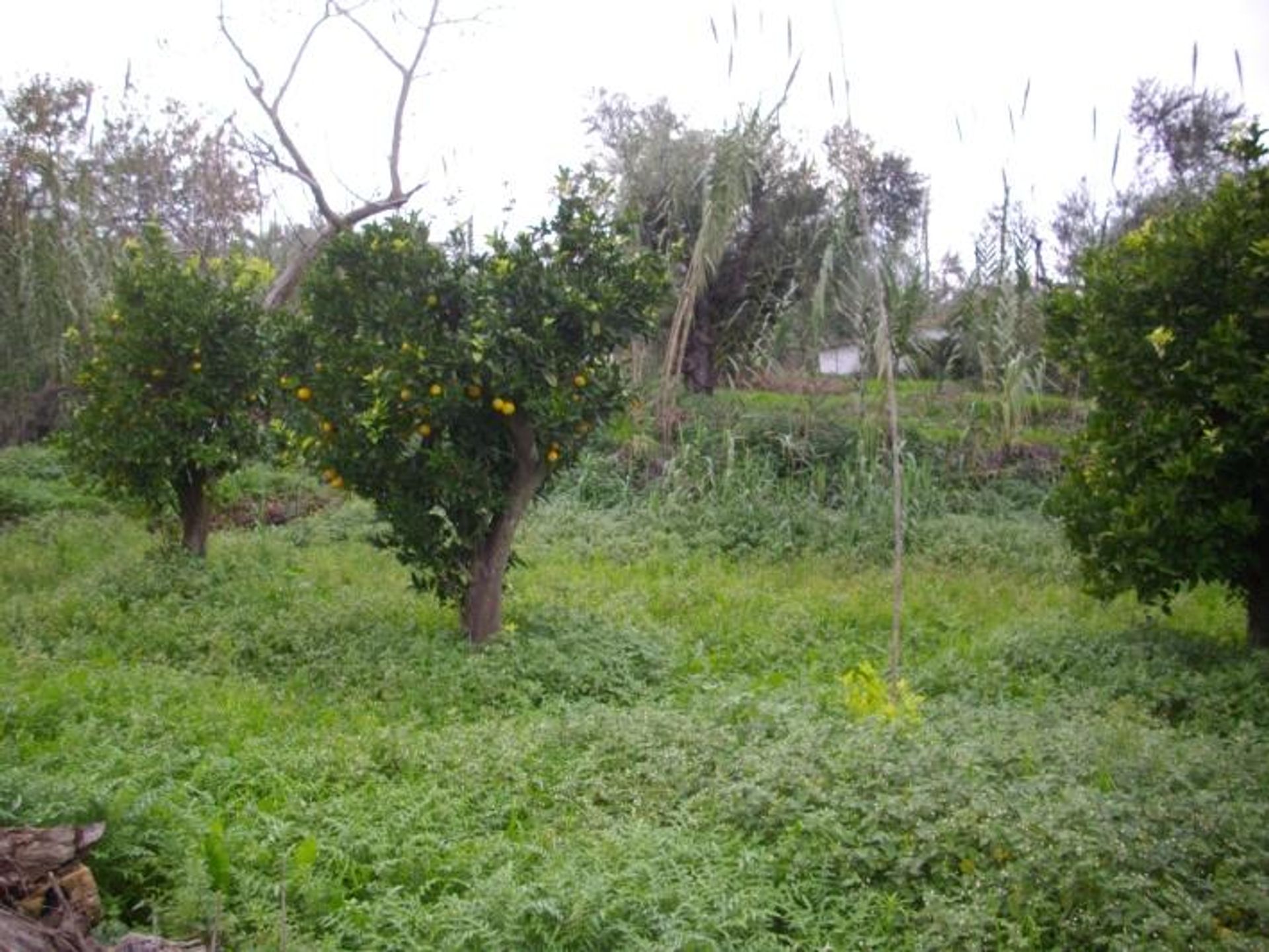 Land in Gaitani, Ionië Nisia 11723231