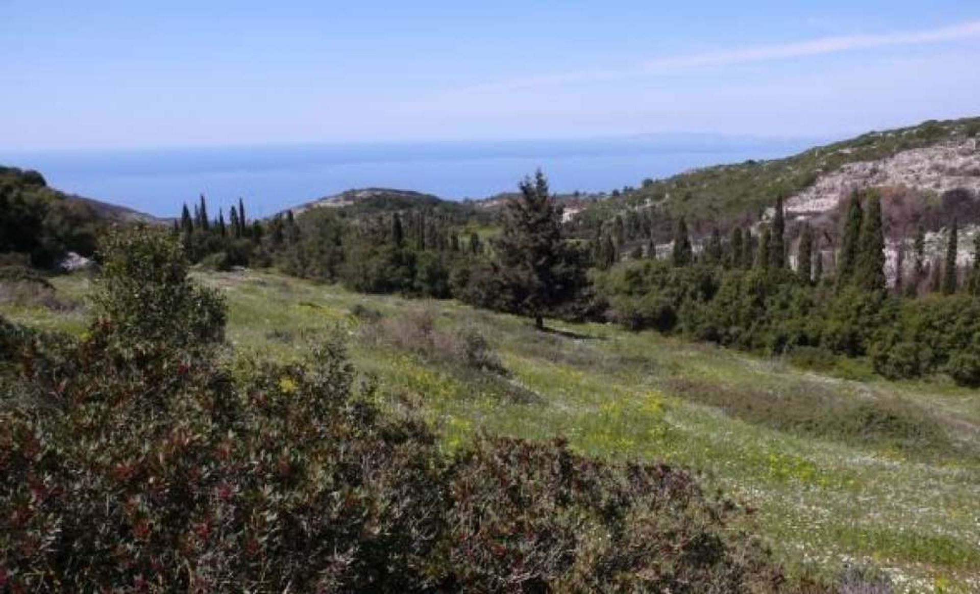 Συγκυριαρχία σε Γαϊτάνι, Ιωνία Νησιά 11723234