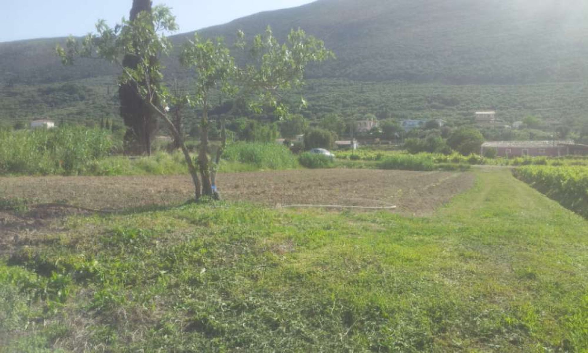 Land in Gaitani, Ionia Nisia 11723243