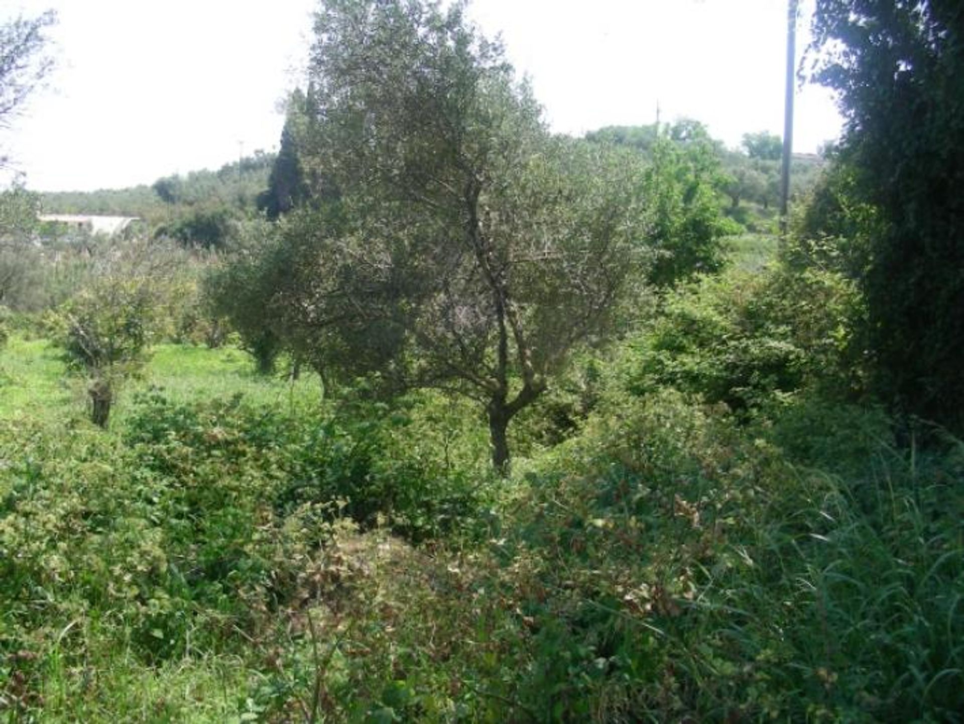 Land im Gaitani, Ionia Nisia 11723272