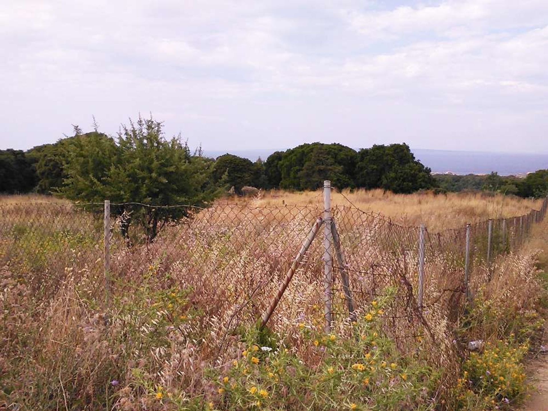 Συγκυριαρχία σε Γαϊτάνι, Ιωνία Νησιά 11723310