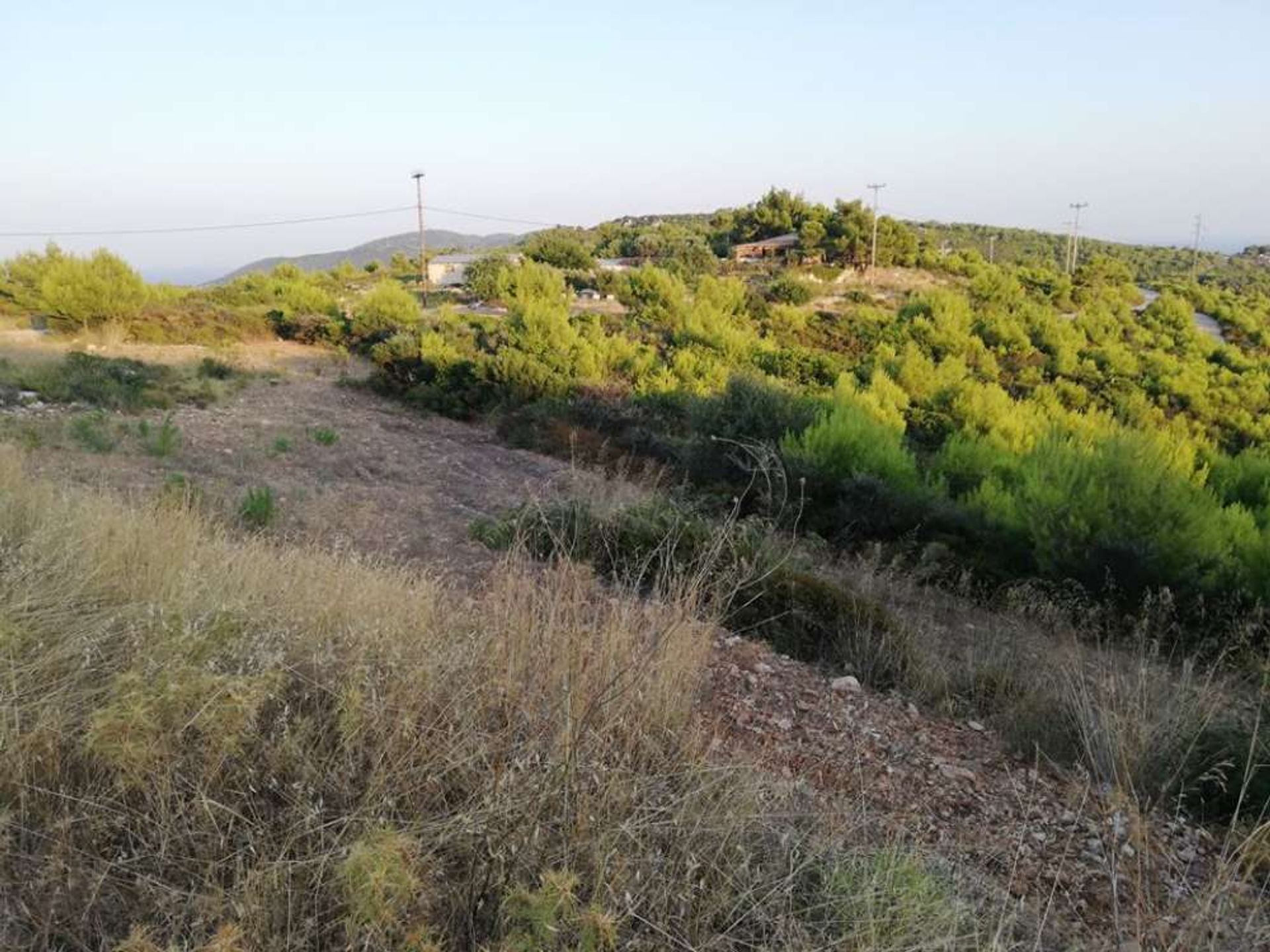 Συγκυριαρχία σε Γαϊτάνι, Ιωνία Νησιά 11723318