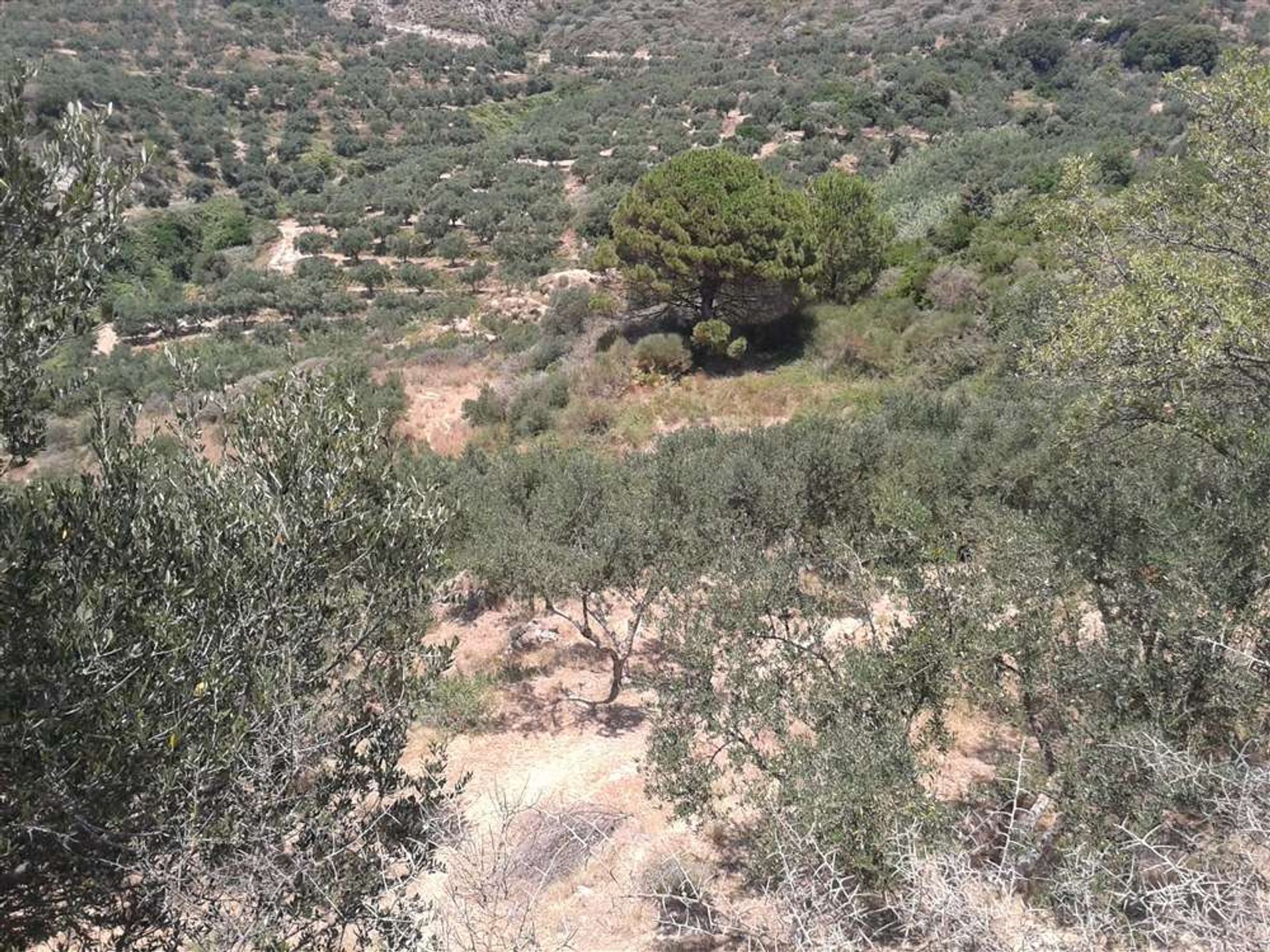 Συγκυριαρχία σε Γαϊτάνι, Ιωνία Νησιά 11723335