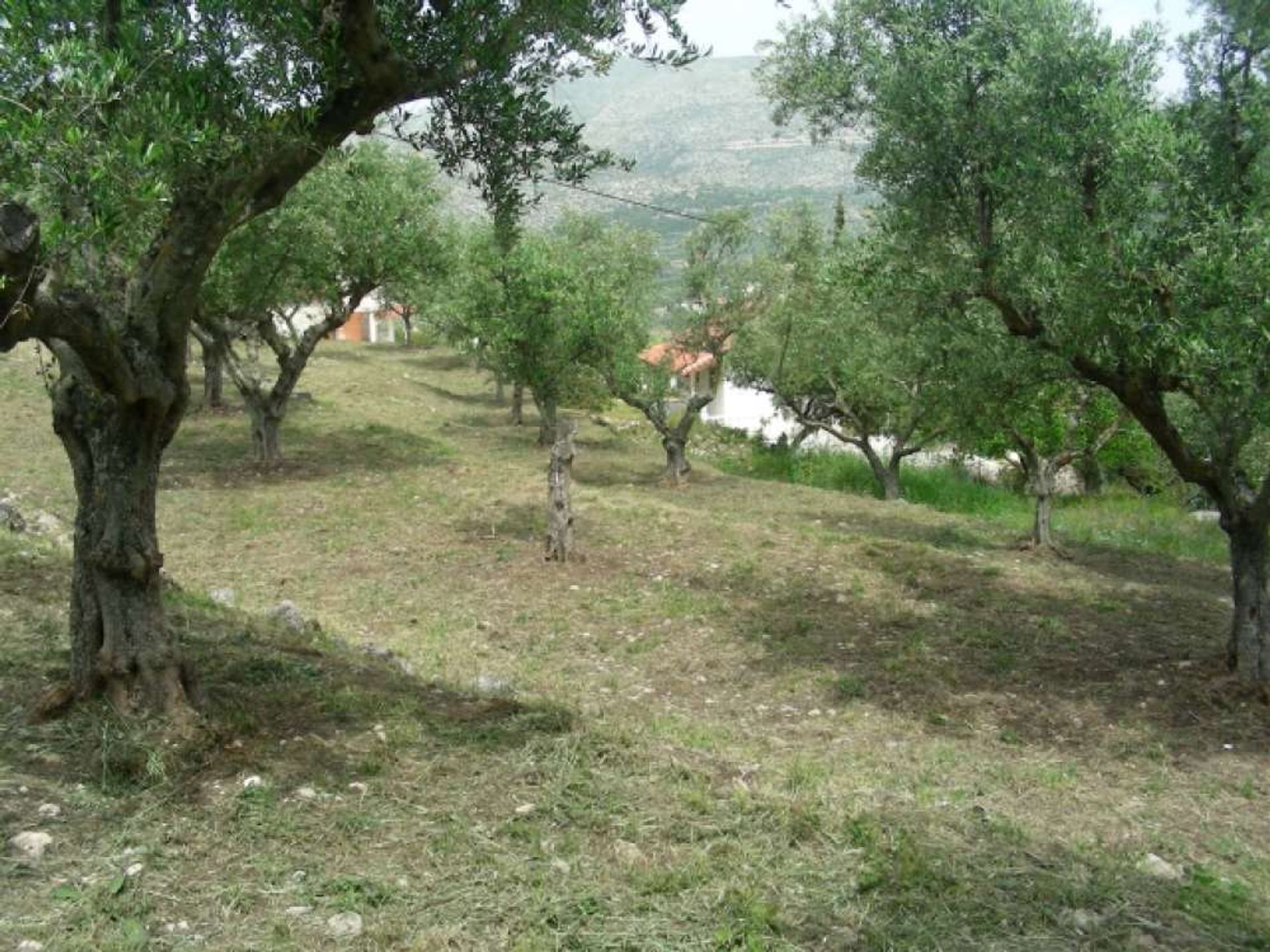 Land i Gaitani, Ionia Nisia 11723397