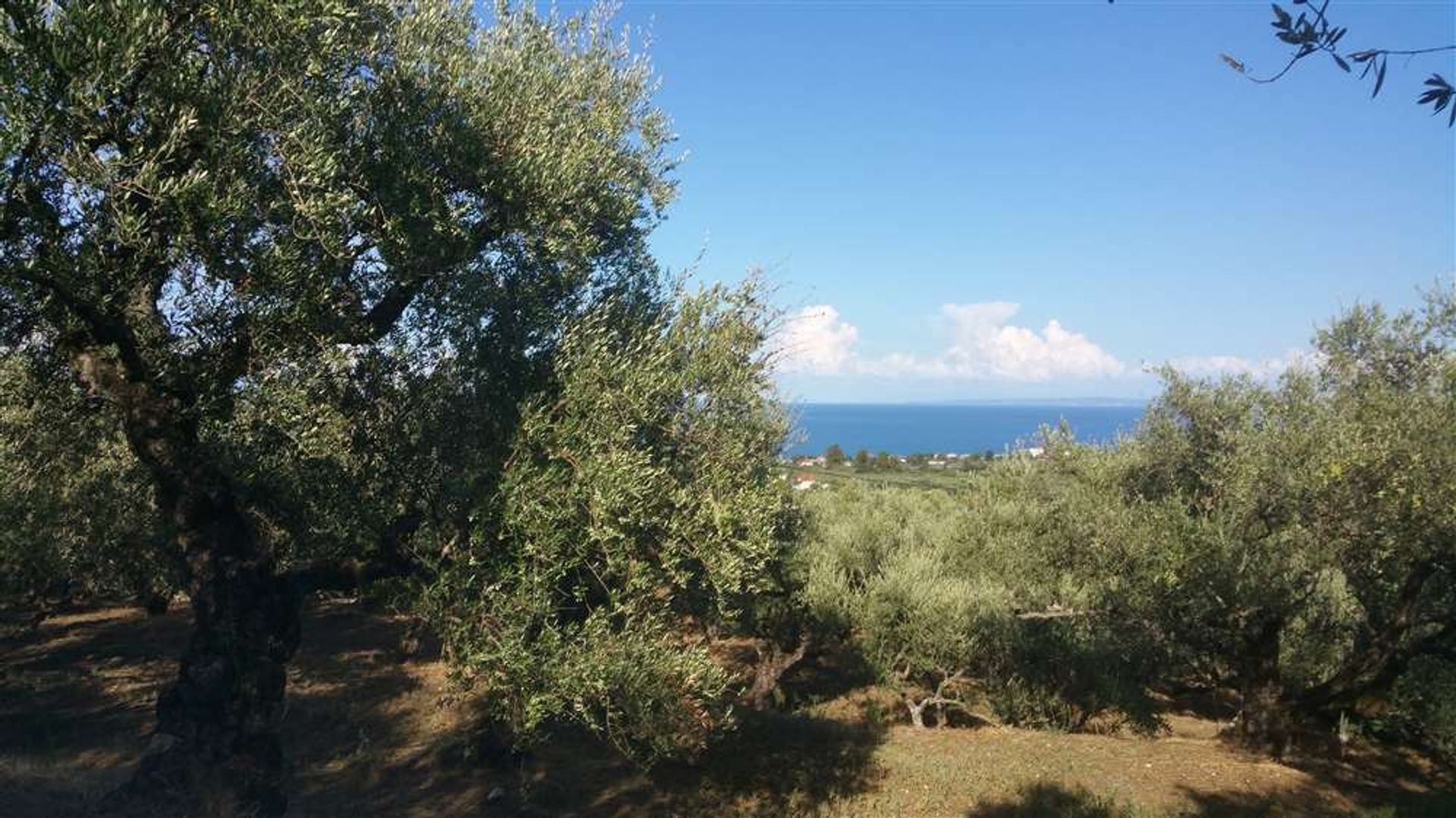 Land in Gaitani, Ionia Nisia 11723439