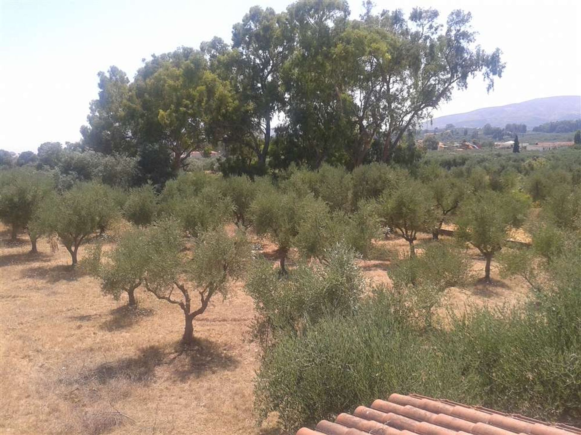 Land in Gaitani, Ionia Nisia 11723462