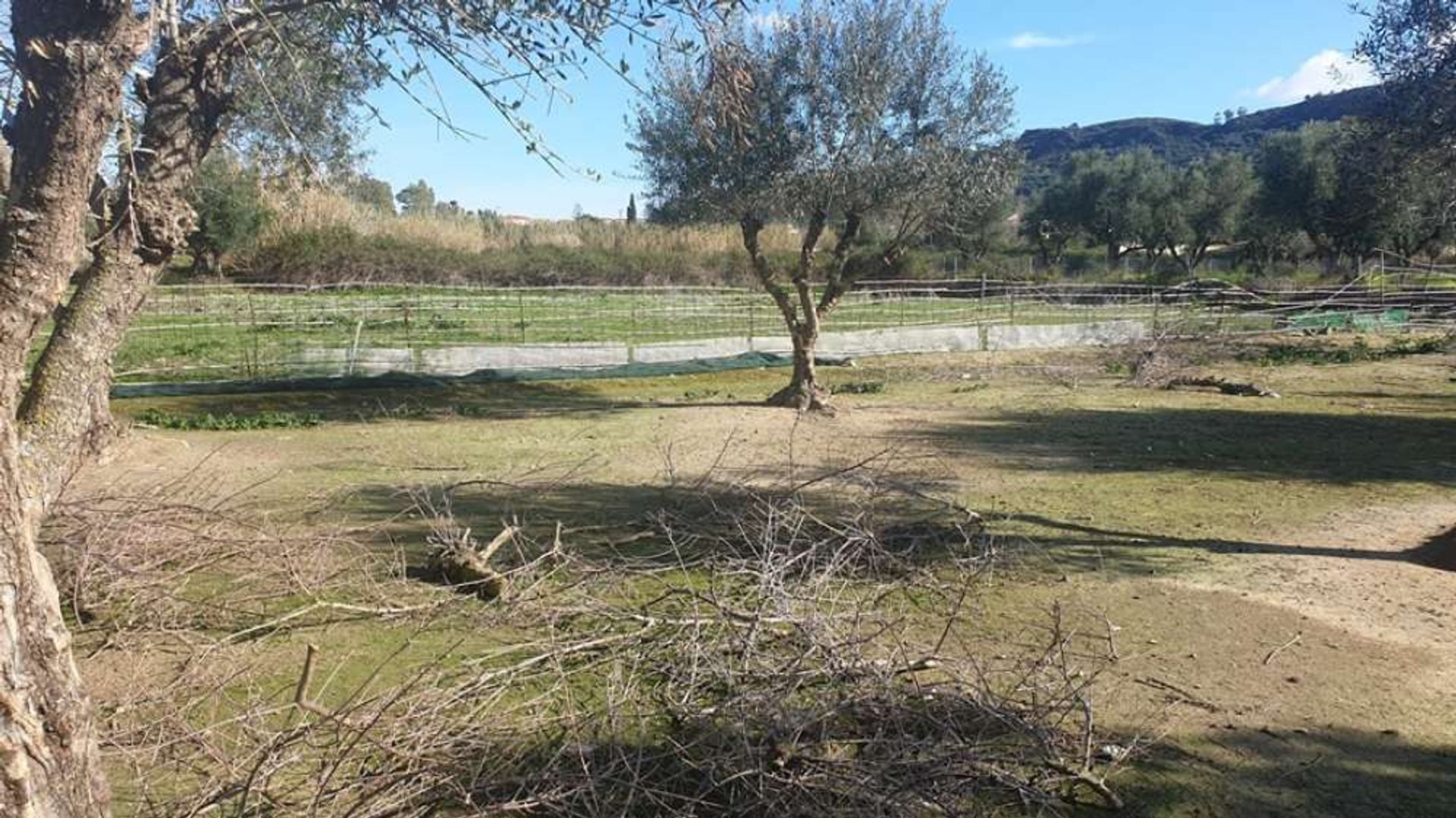 Land in Gaitani, Ionië Nisia 11723470