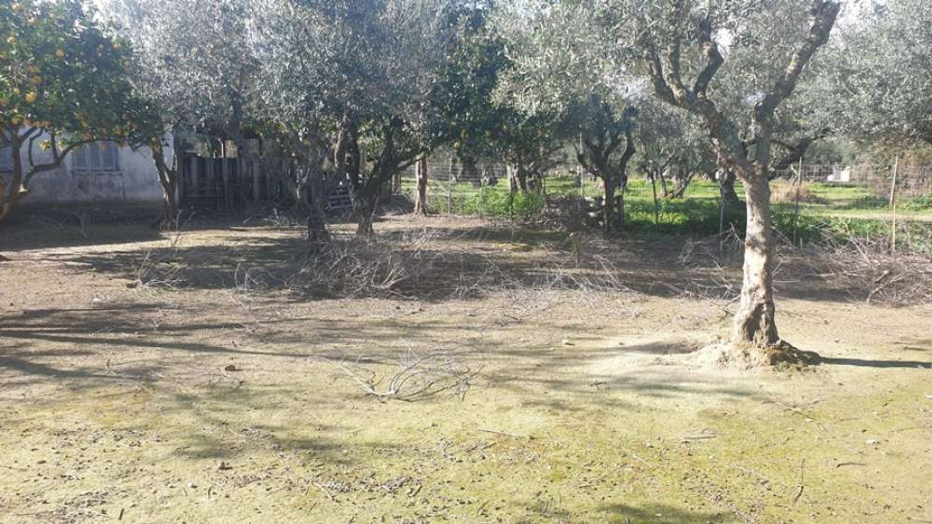 Land in Gaitani, Ionië Nisia 11723470