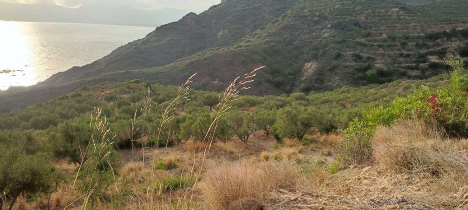 Land in Gaitani, Ionië Nisia 11723482