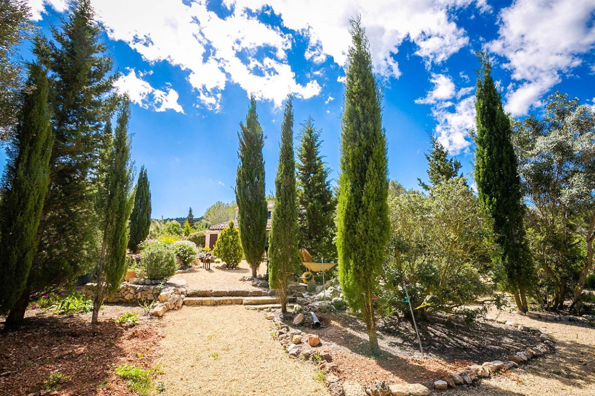 Huis in Dénia, Comunidad Valenciana 11723502