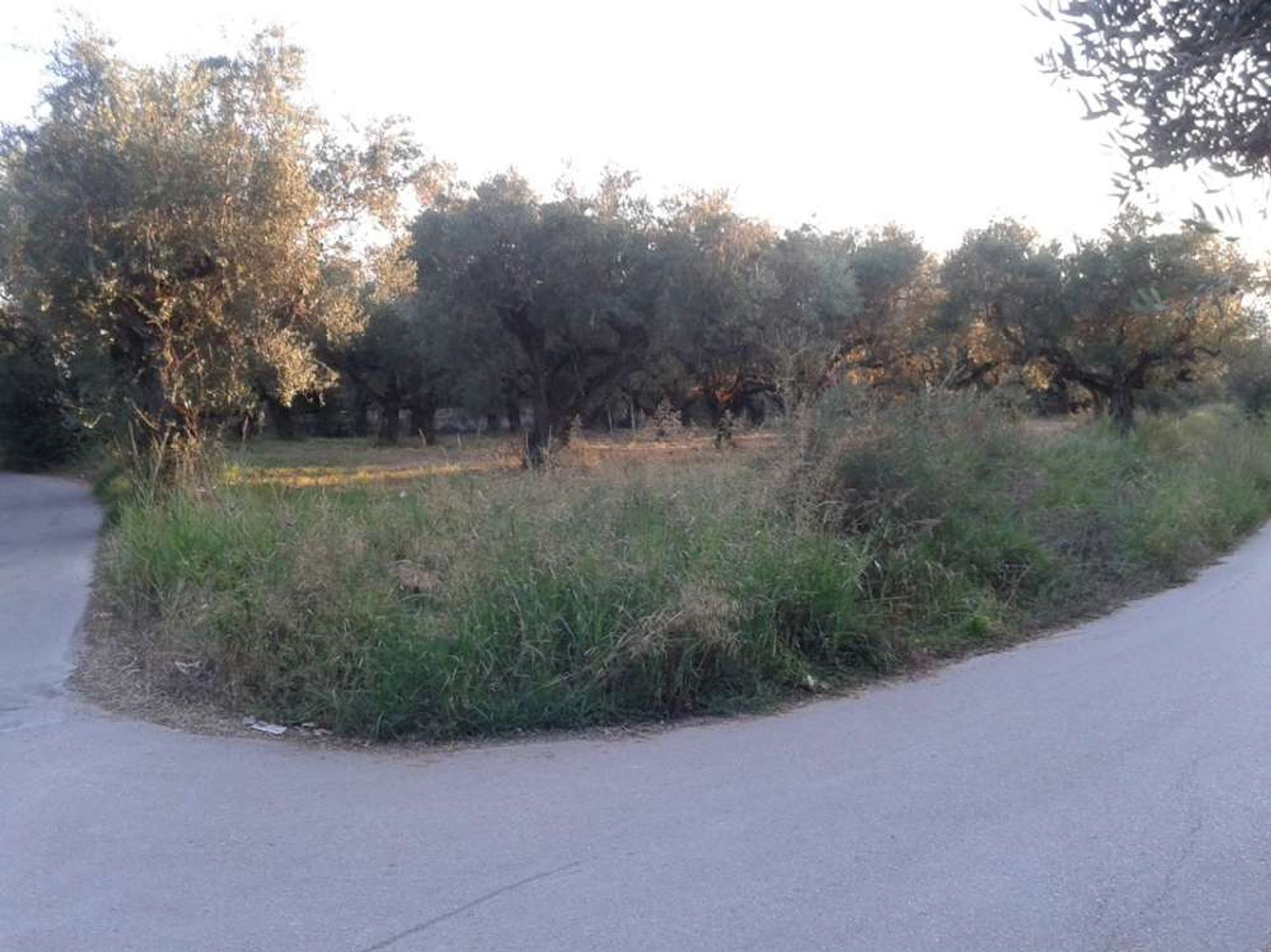 Land in Gaitani, Ionia Nisia 11723510