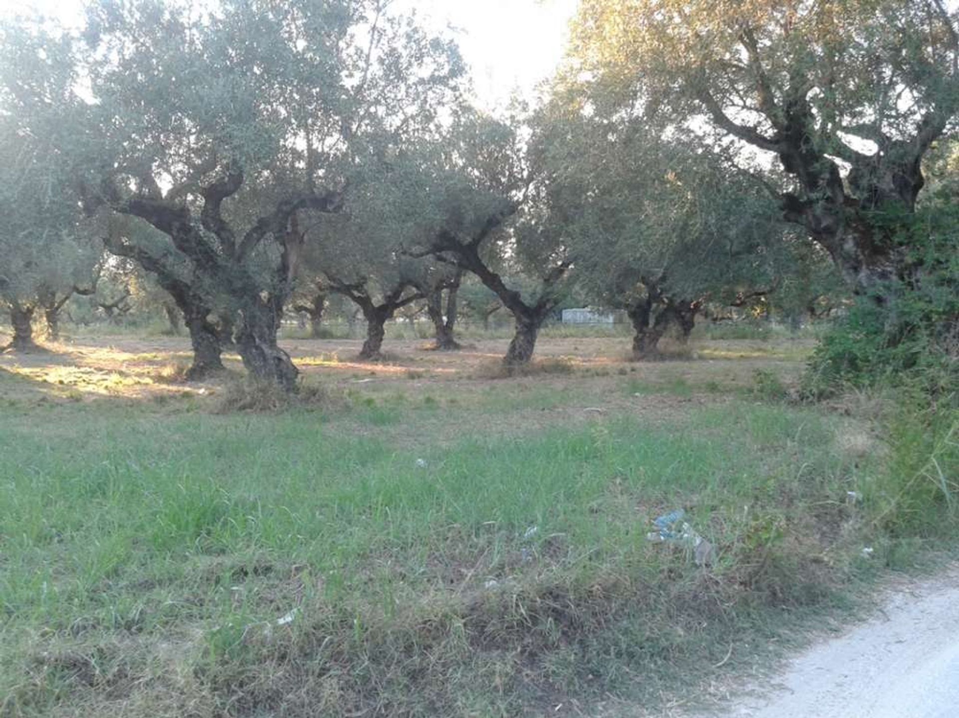 Land in Gaitani, Ionië Nisia 11723510