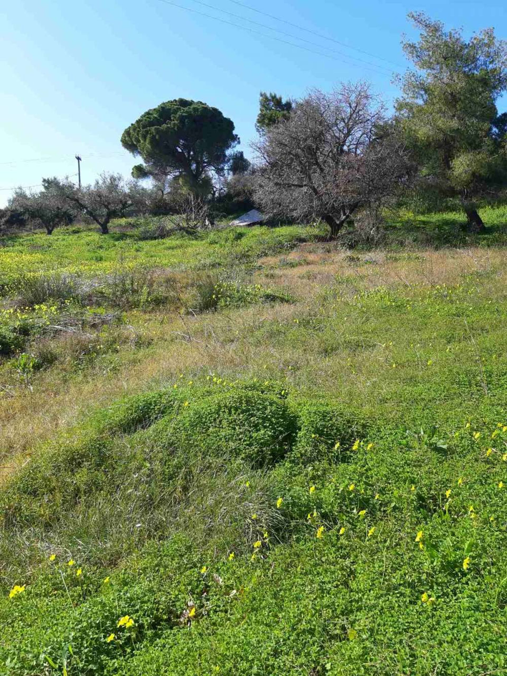 Land in Gaitani, Ionia Nisia 11723513