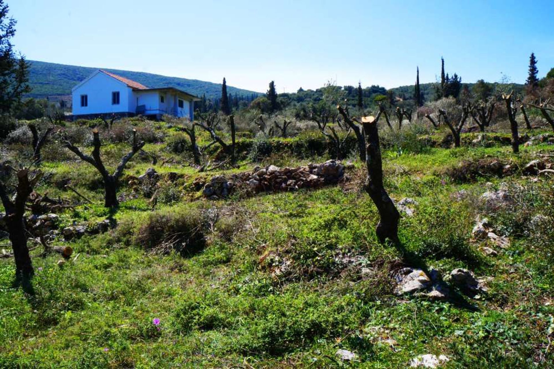 Tierra en Gaitani, Jonia Nisia 11723524