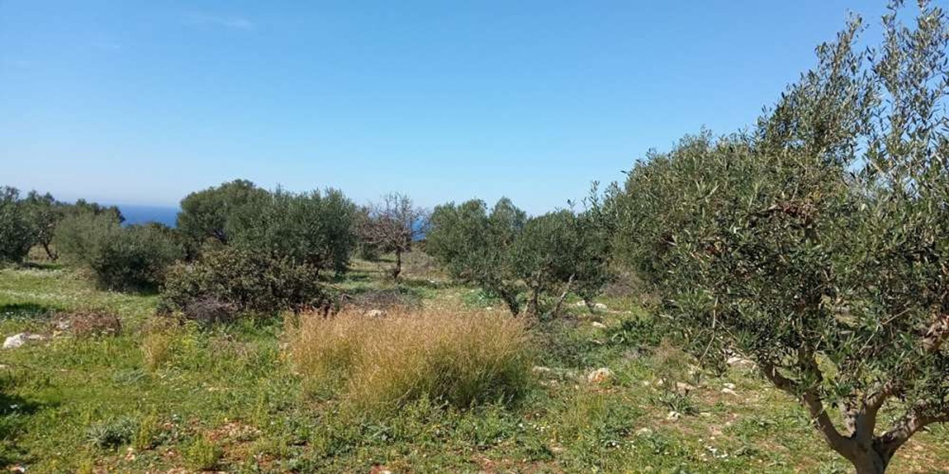 Land i Gaitani, Ionia Nisia 11723532