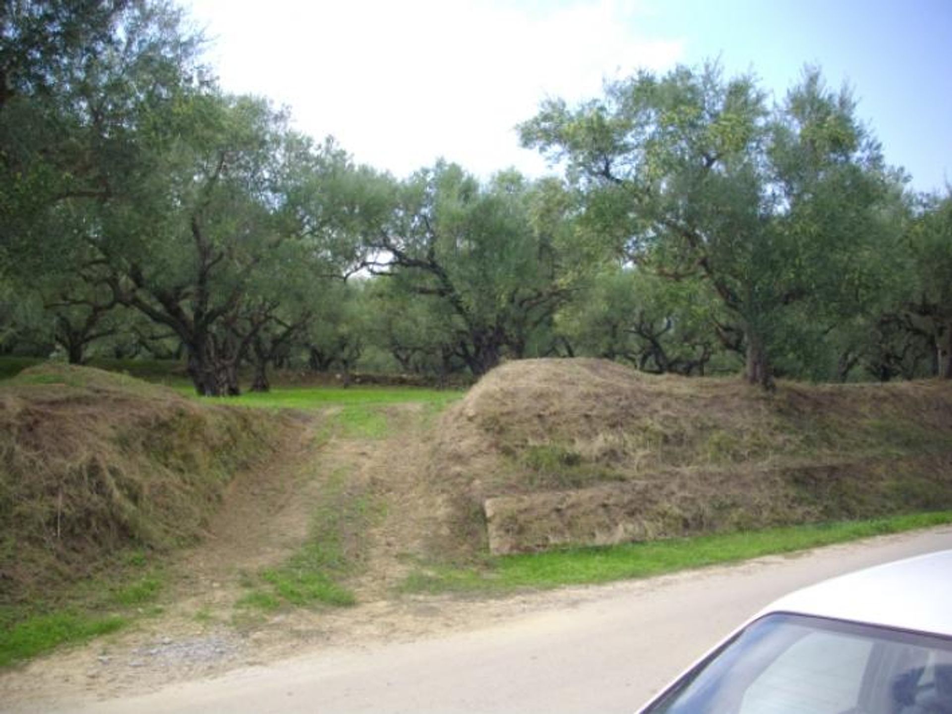 Terra no Gaitani, Ionia Nísia 11723541