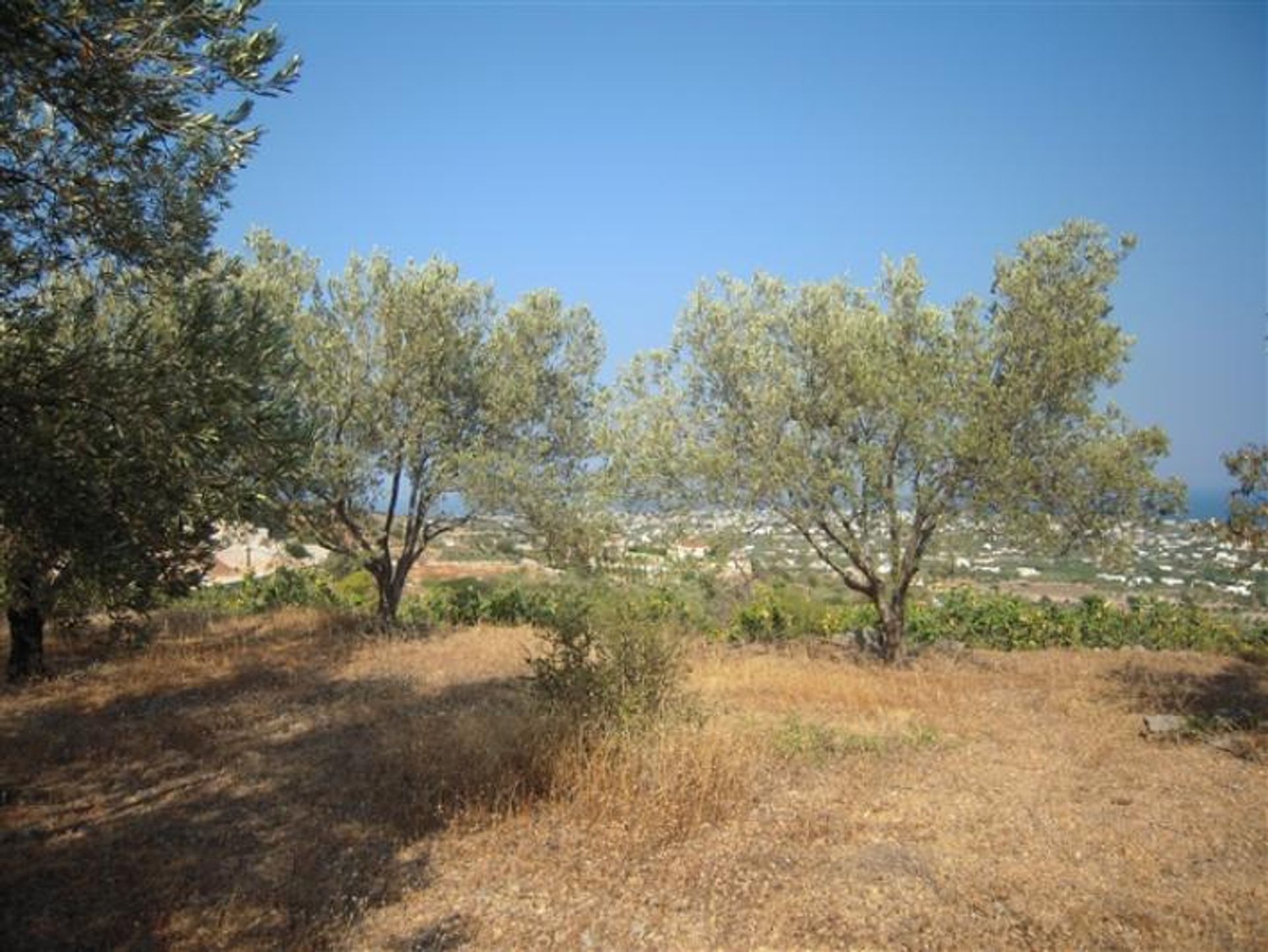 Land i Ymittos, Attiki 11723543