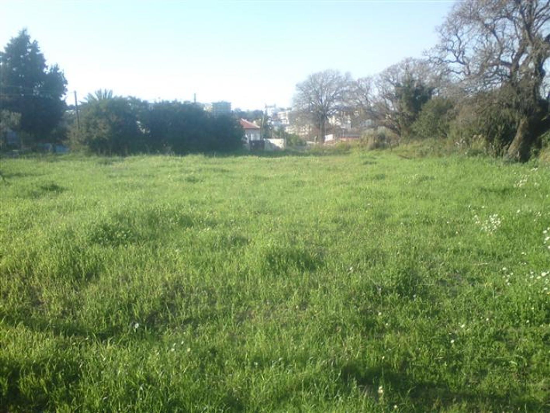 Land im Agia Effimia, Ionia Nisia 11723549