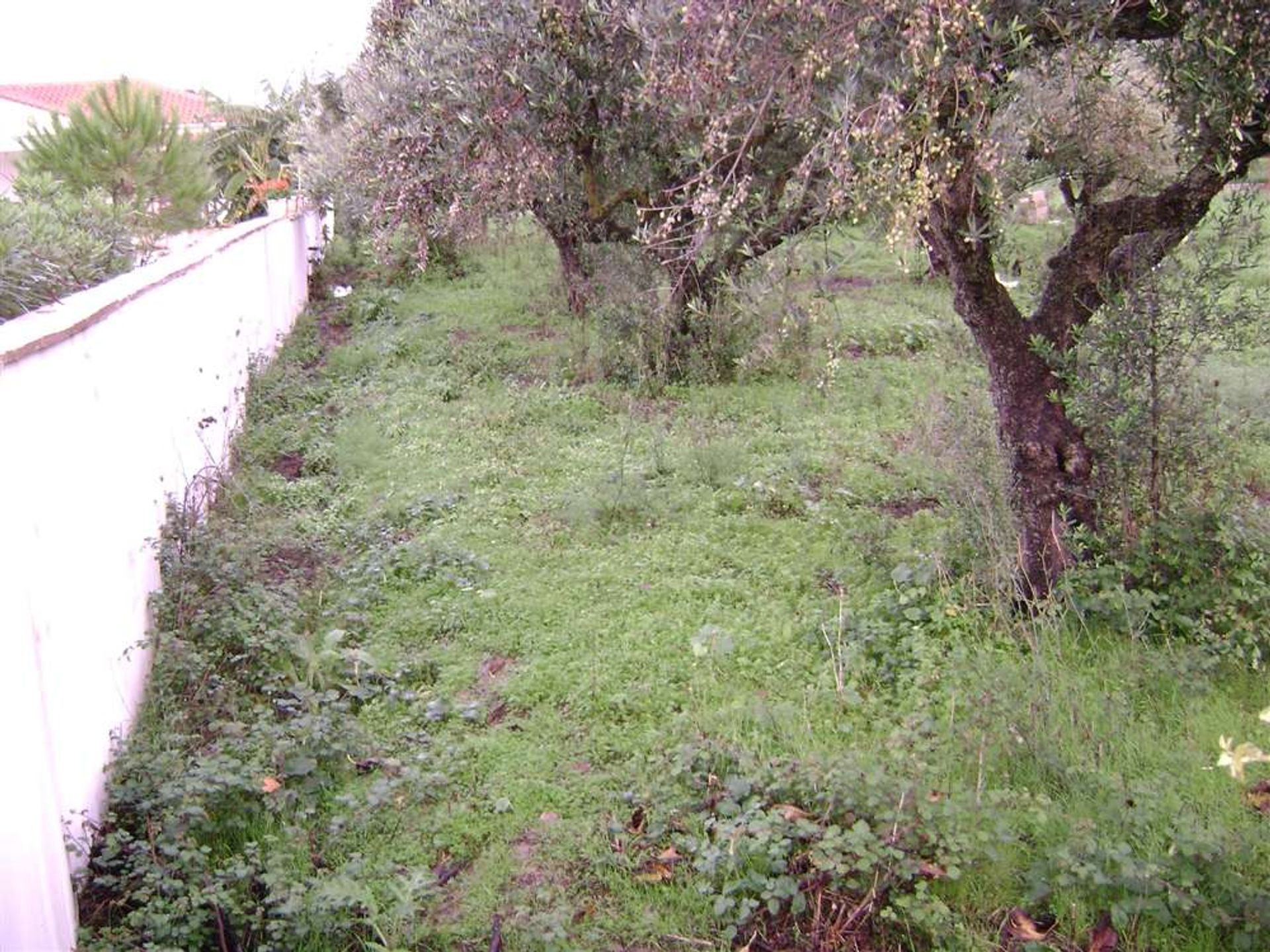 Land in Gaitani, Ionia Nisia 11723590