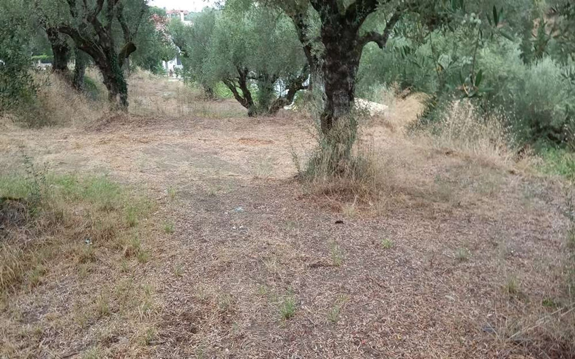 Land i Gaitani, Ionia Nisia 11723625