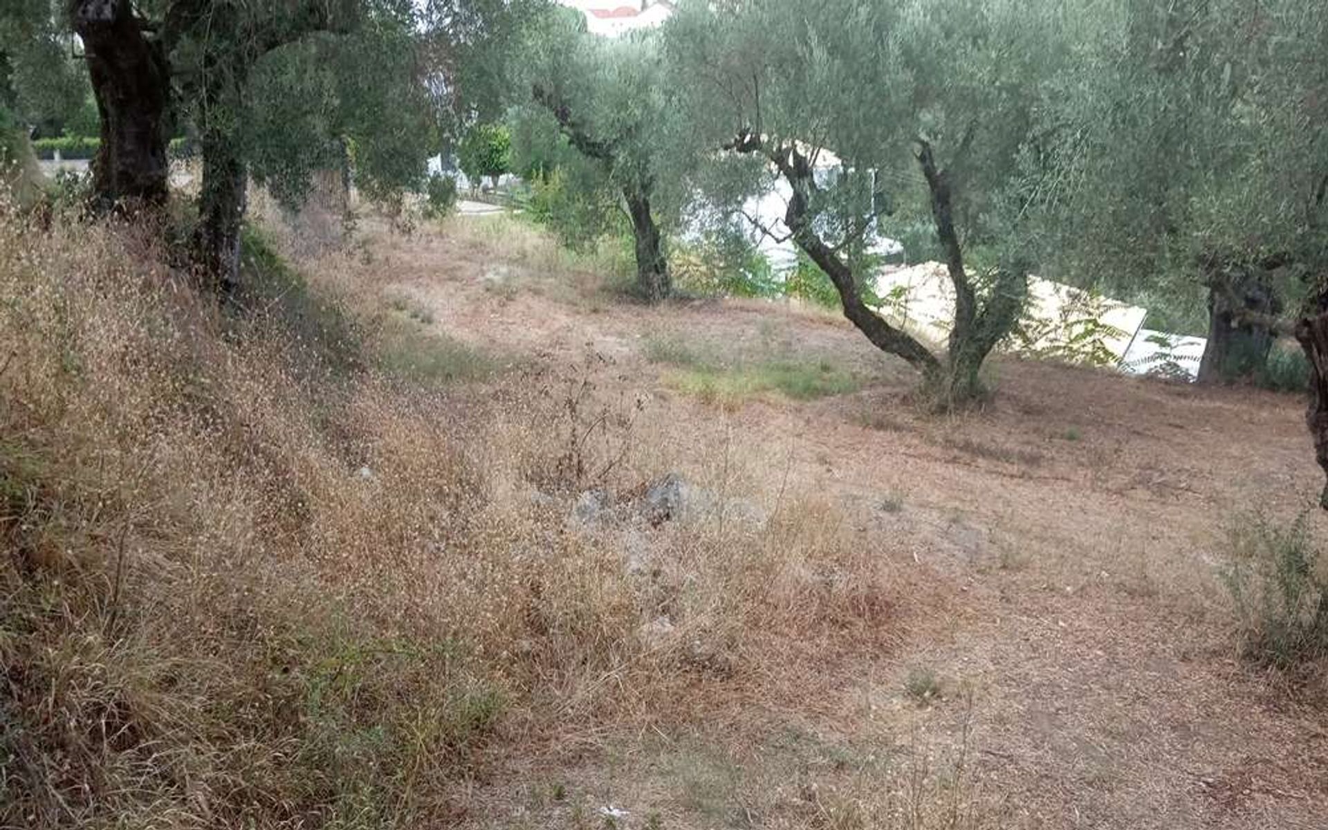 Land i Gaitani, Ionia Nisia 11723625