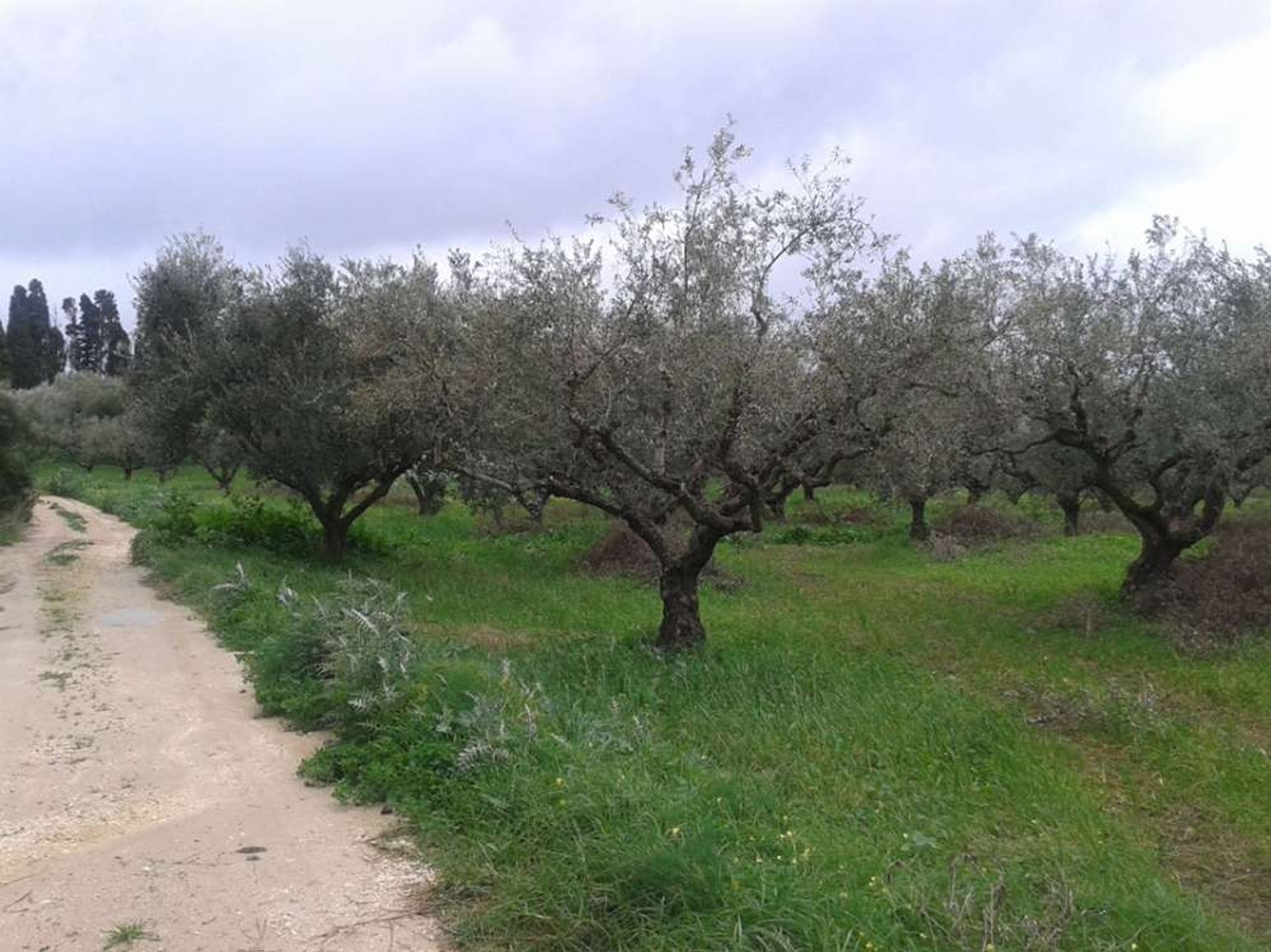 Tierra en Gaitani, Jonia Nisia 11723632