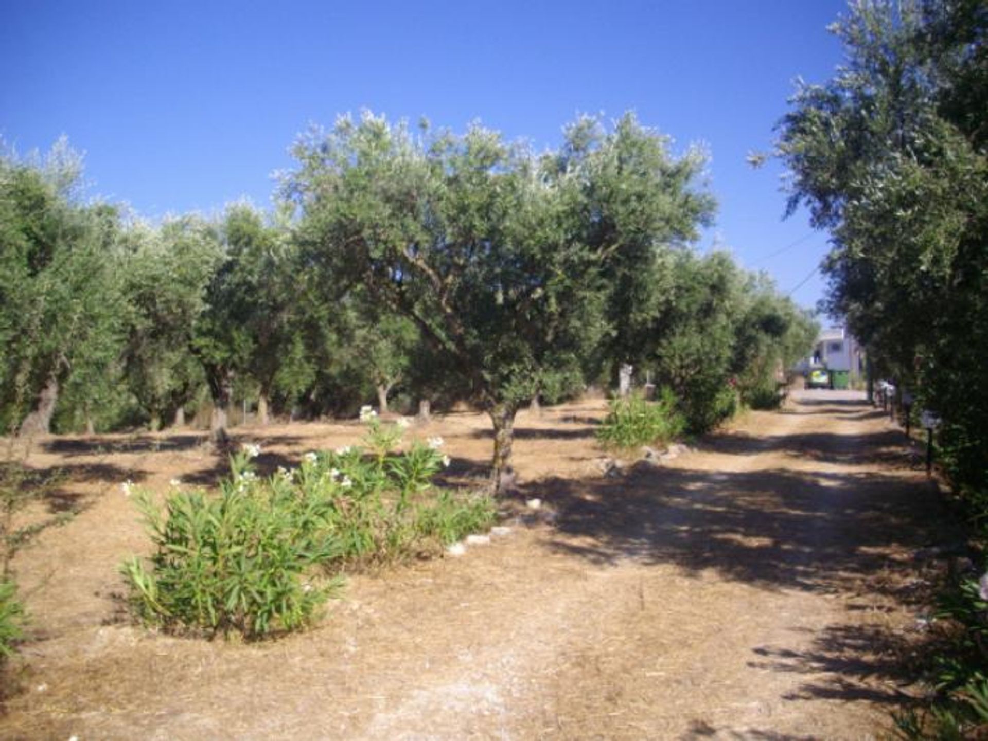 Tierra en Gaitani, Jonia Nisia 11723637