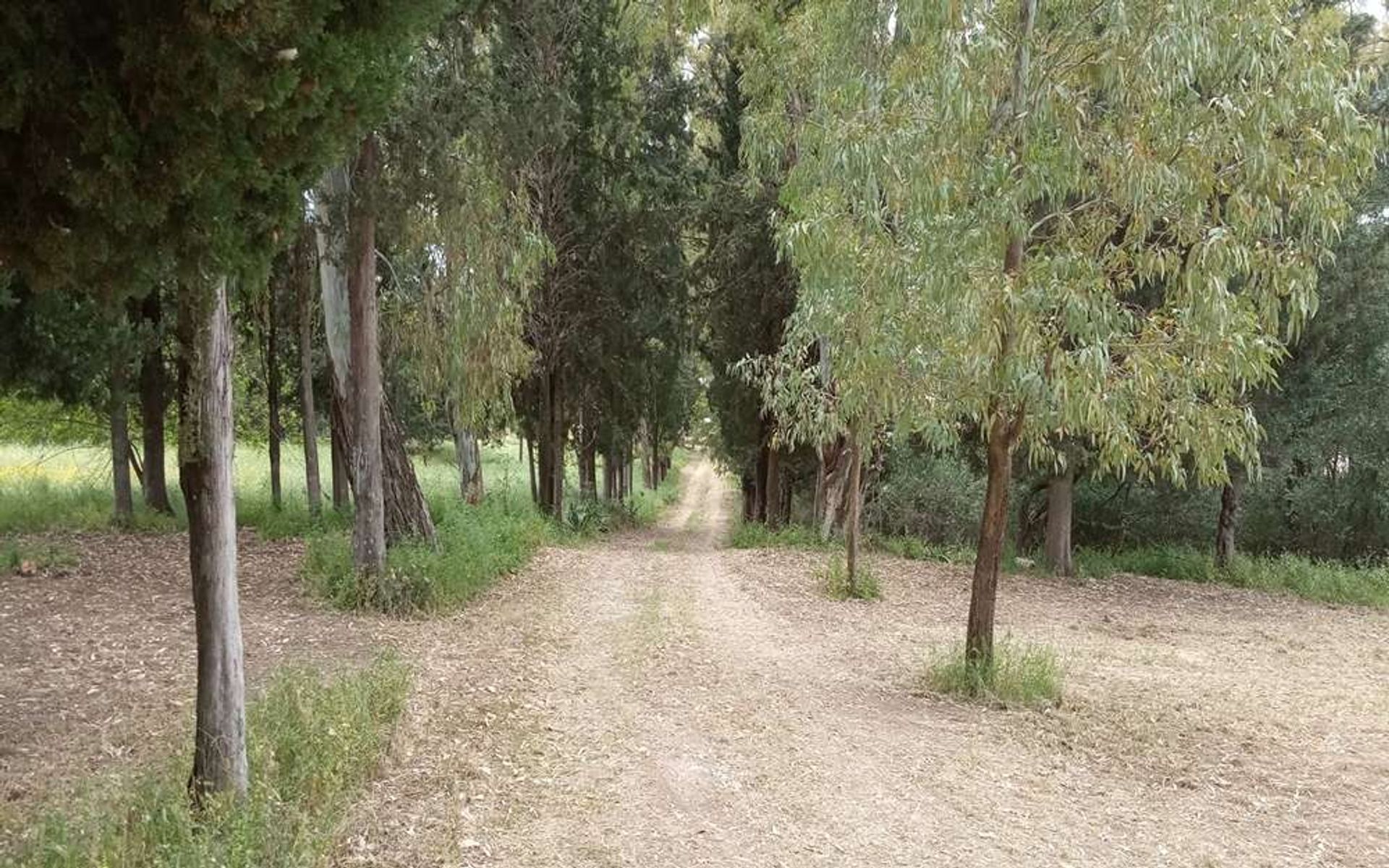 Condominium in Gaitani, Ionië Nisia 11723708