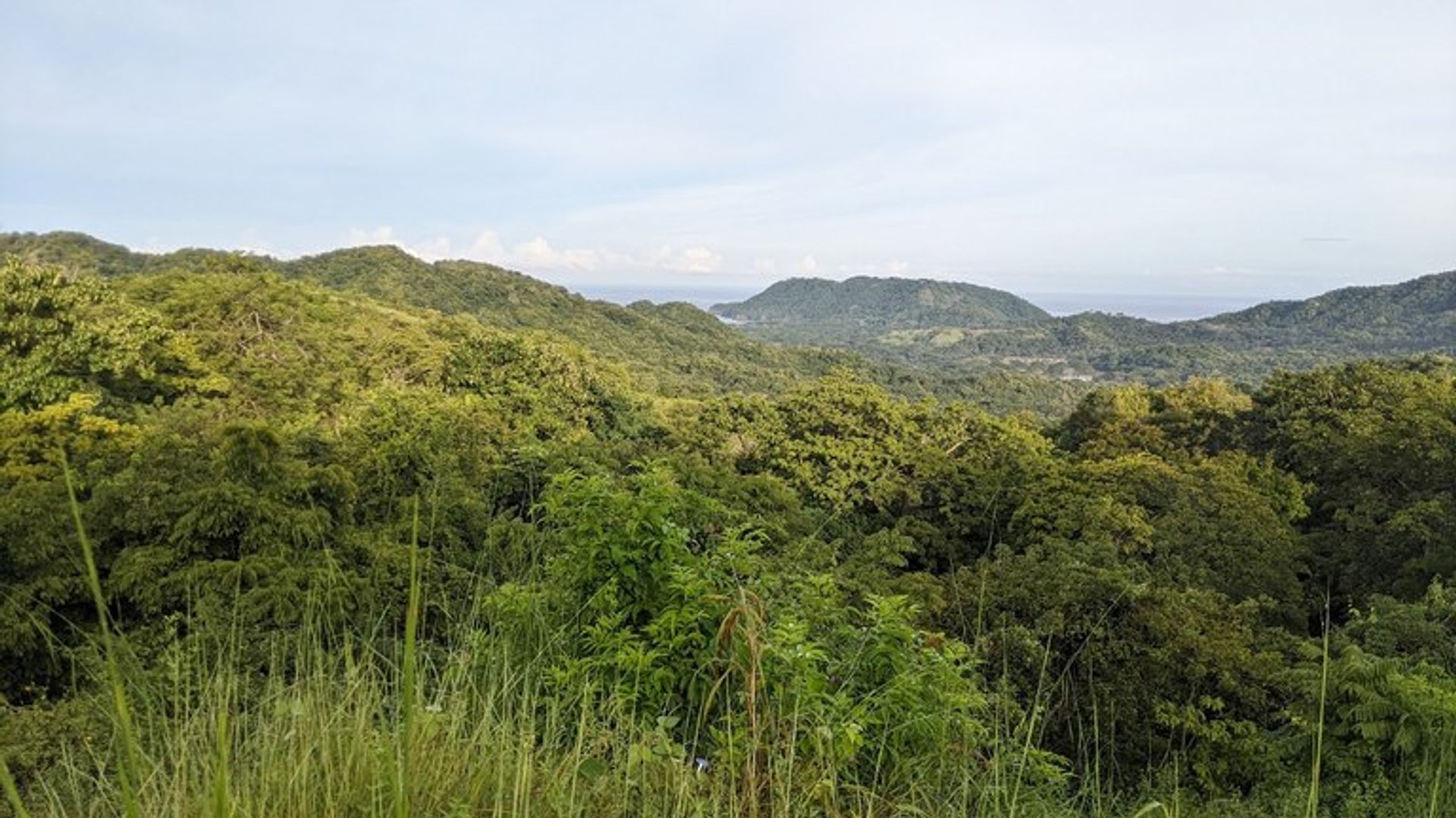 Osakehuoneisto sisään , Provincia de Guanacaste 11723783