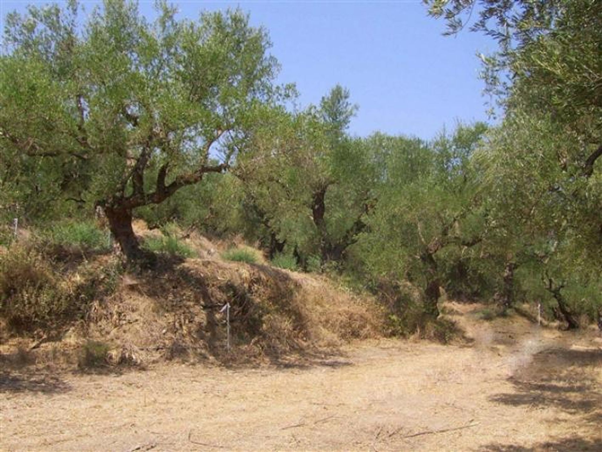 Land in Gaitani, Ionia Nisia 11723857