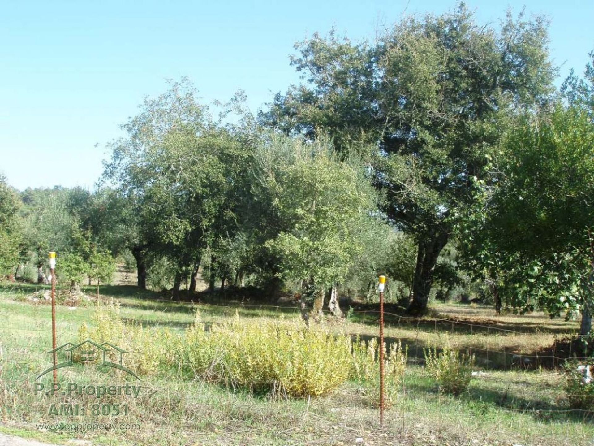 Huis in Ansião, Leiria 11724204