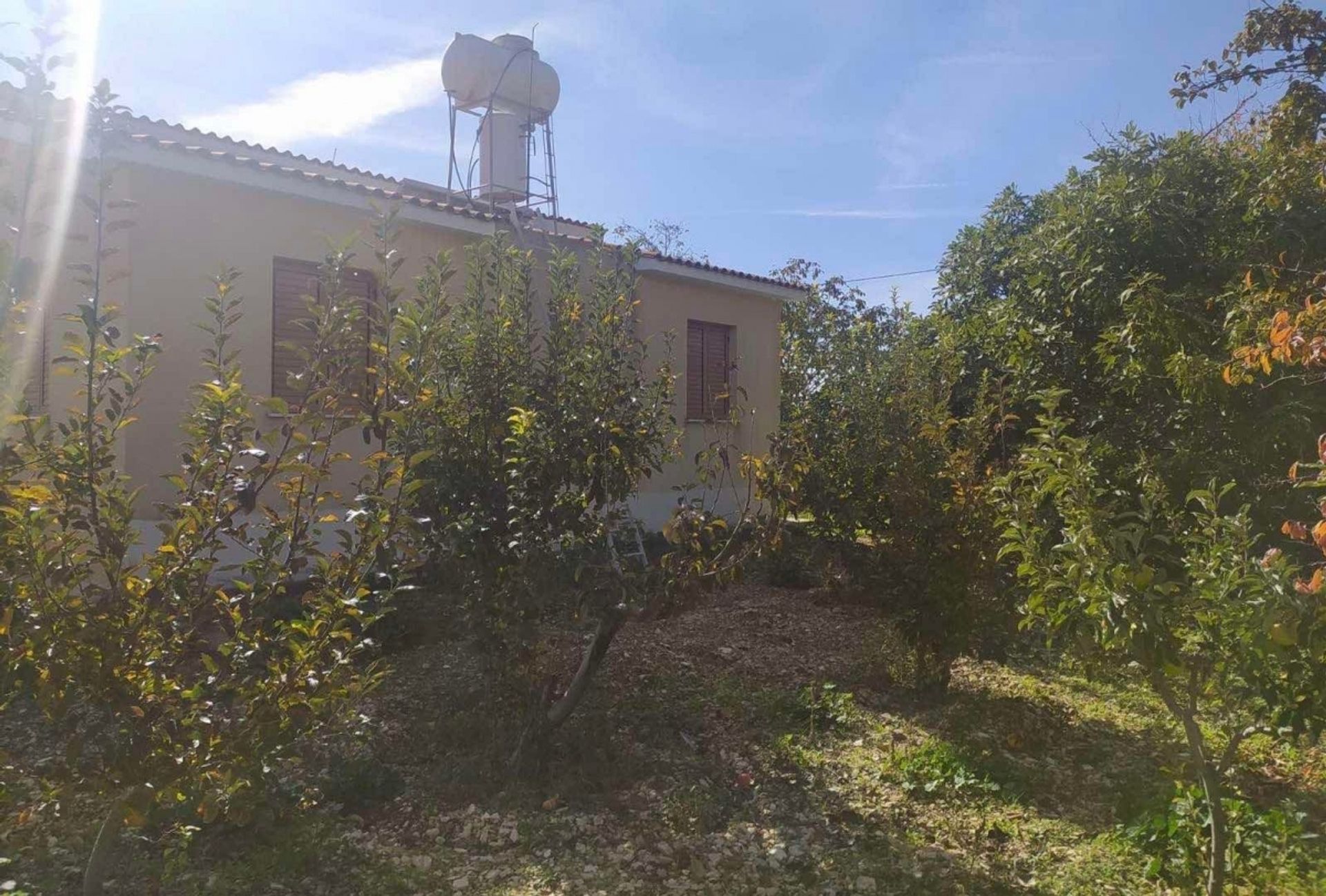 Huis in Mesa Chorio, Pafos 11726812