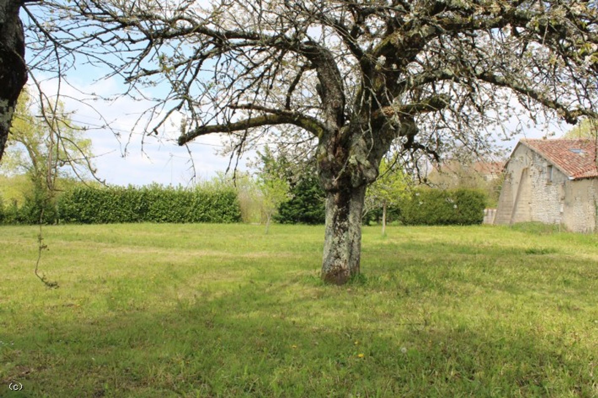 Hus i Villefagnan, Nouvelle-Aquitaine 11727468