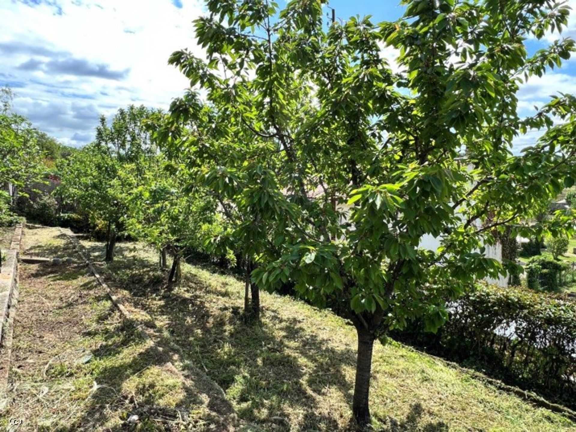 loger dans Ruffec, Nouvelle-Aquitaine 11727490