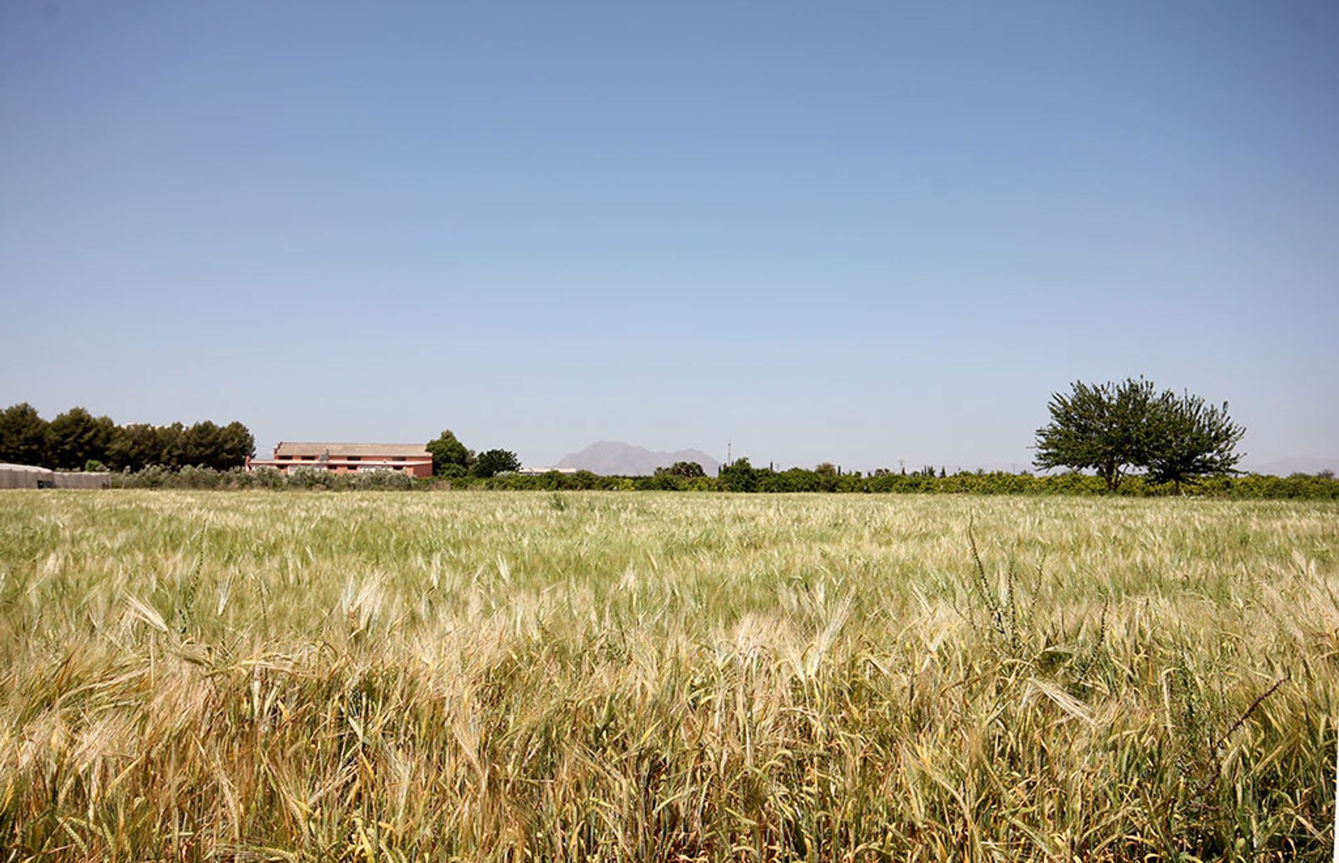 Condominium dans Benijófar, Valencian Community 11728122