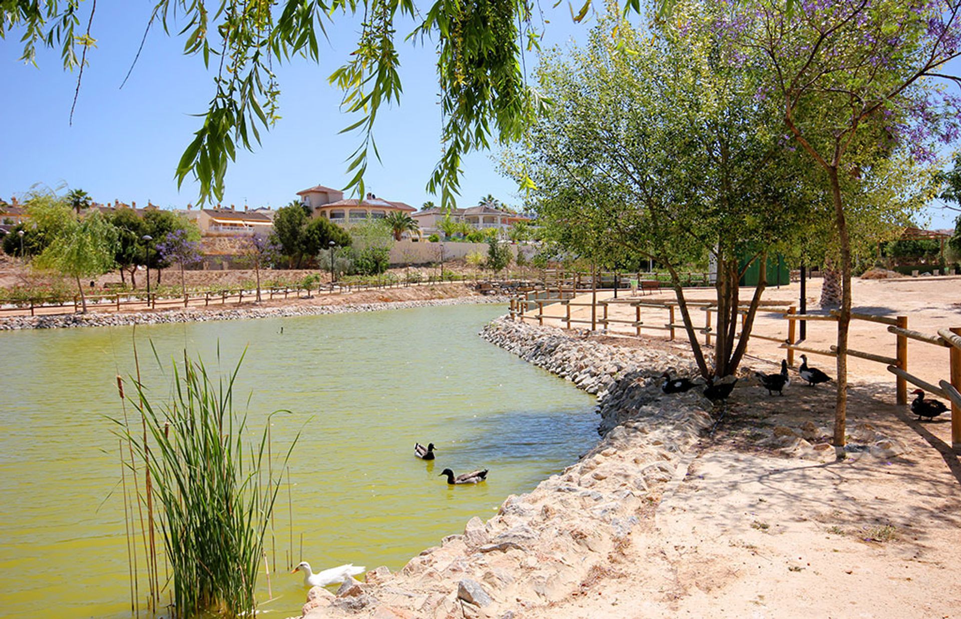 Condominium dans Benijófar, Valencian Community 11728122