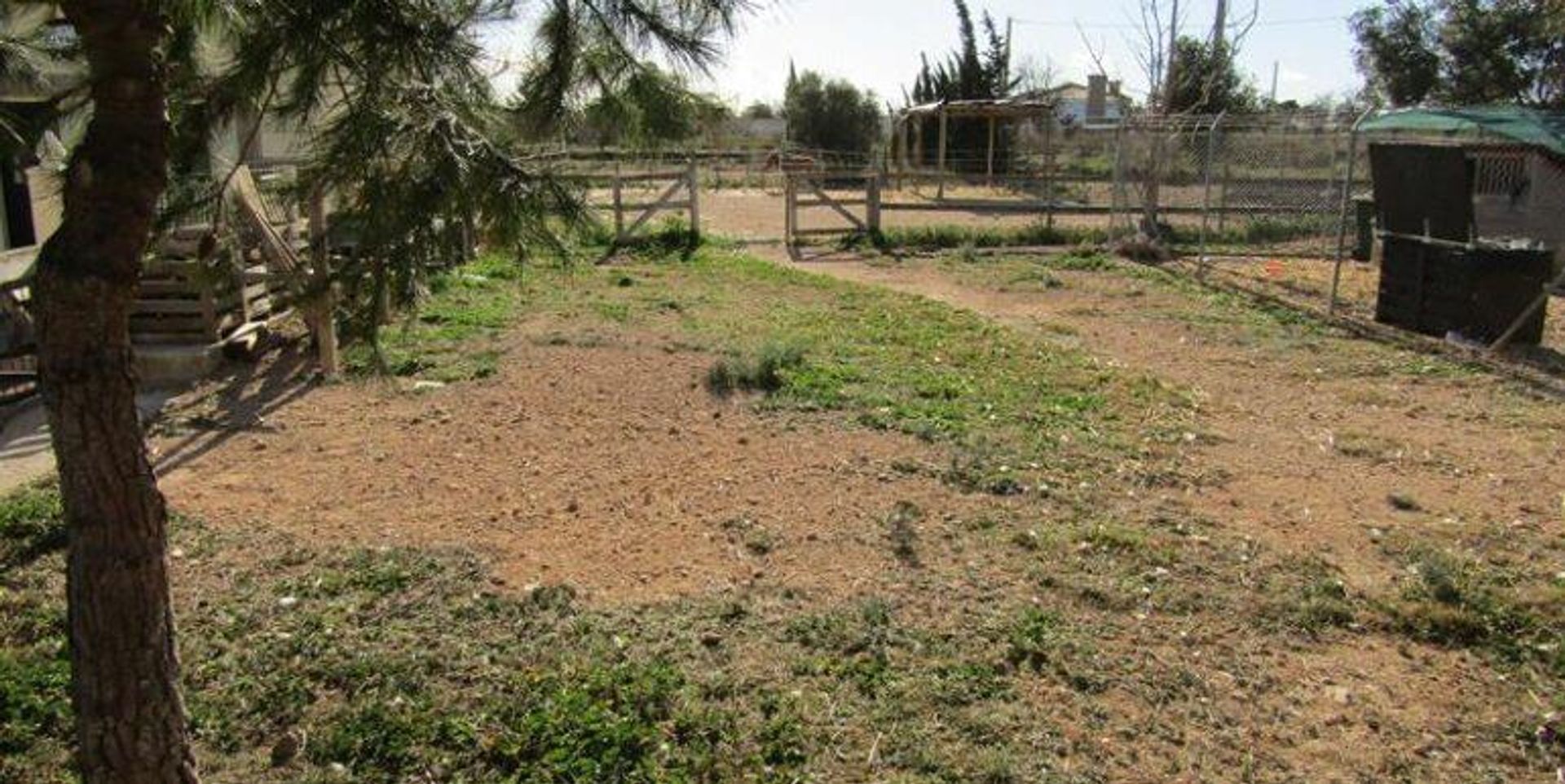 Hus i El Fondó de les Neus, Valencian Community 11728126