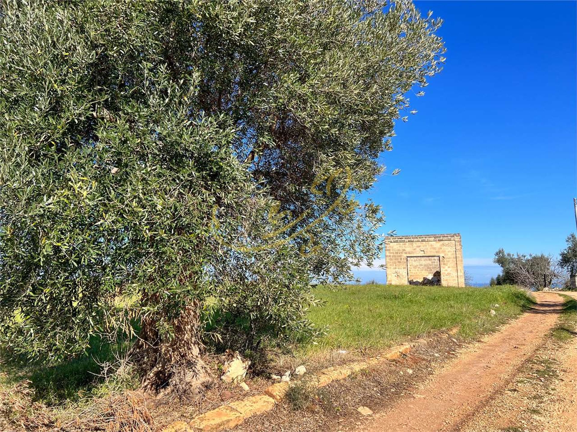 жилой дом в Polignano a Mare, Apulia 11728332