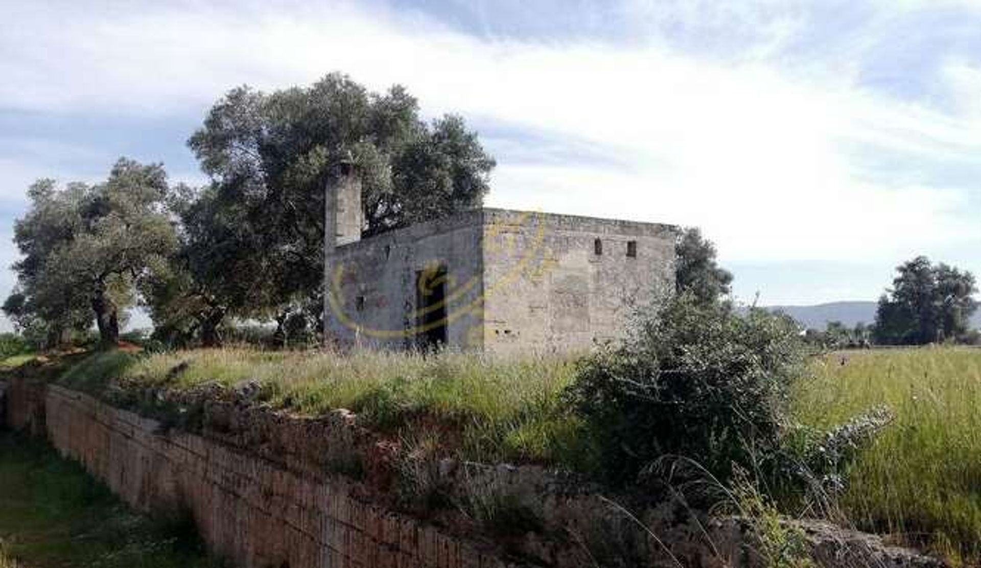 Land in Fasano, Puglia 11728342