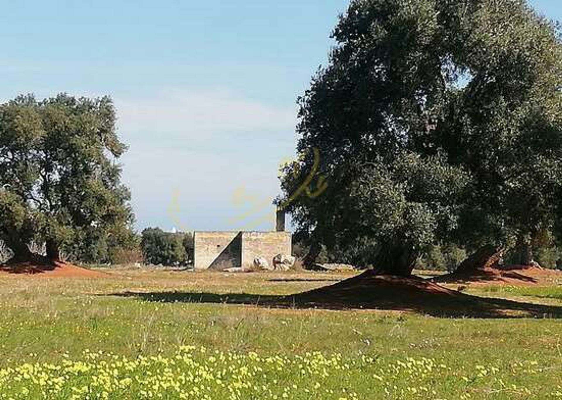 Sbarcare nel Fasano, Puglia 11728342