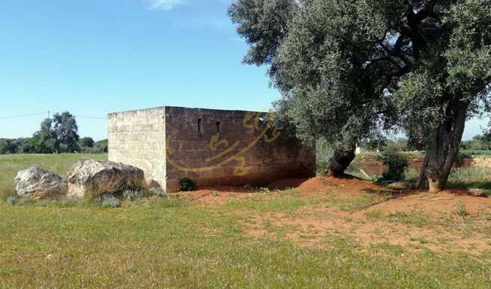 Land in Fasano, Puglia 11728342