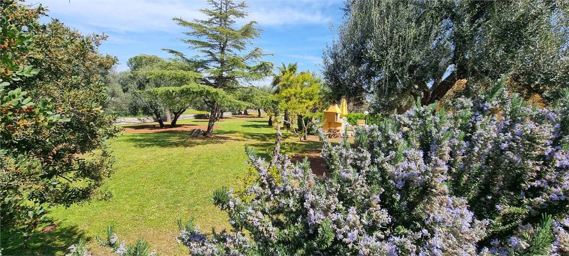 casa en Fasano, Apulia 11728346