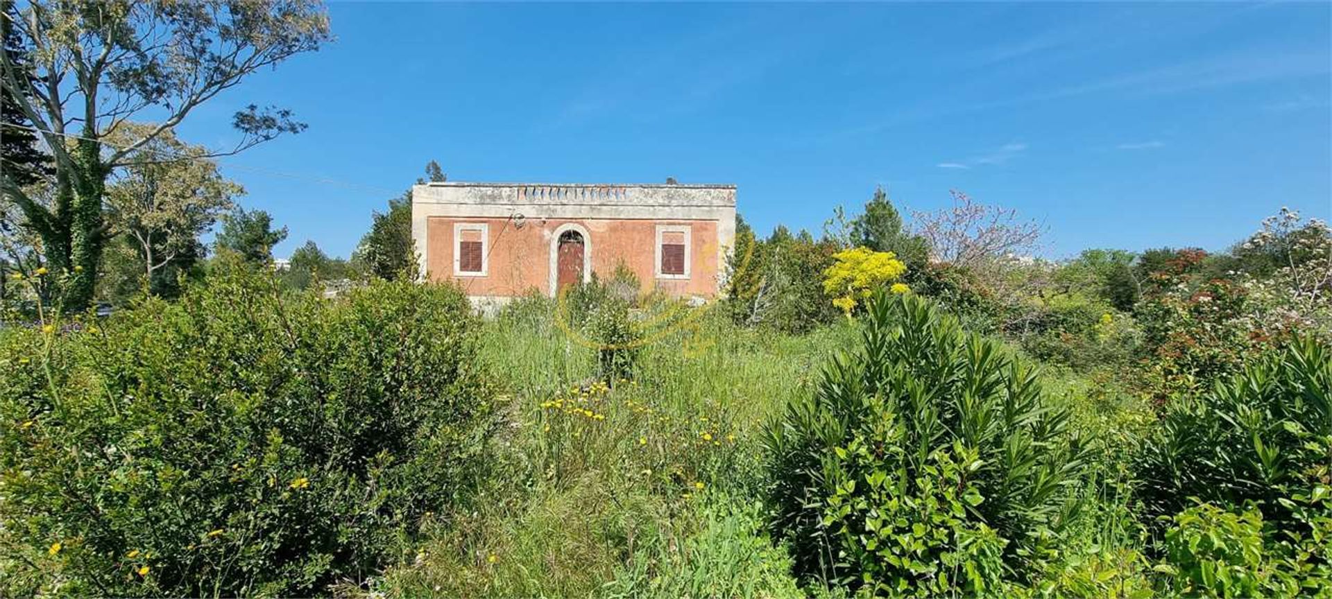 Land in Ostuni, Puglia 11728361