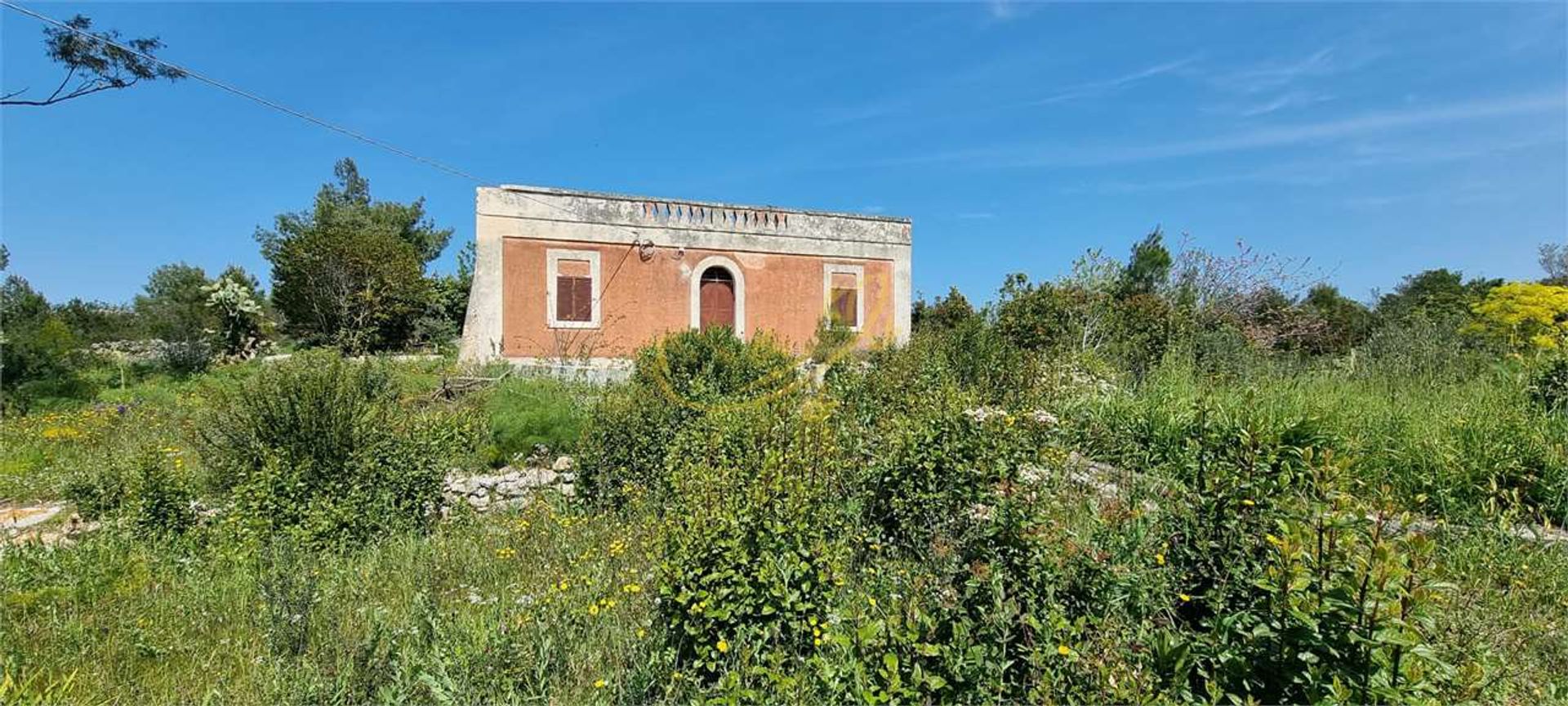 Land i Ostuni, Puglia 11728361