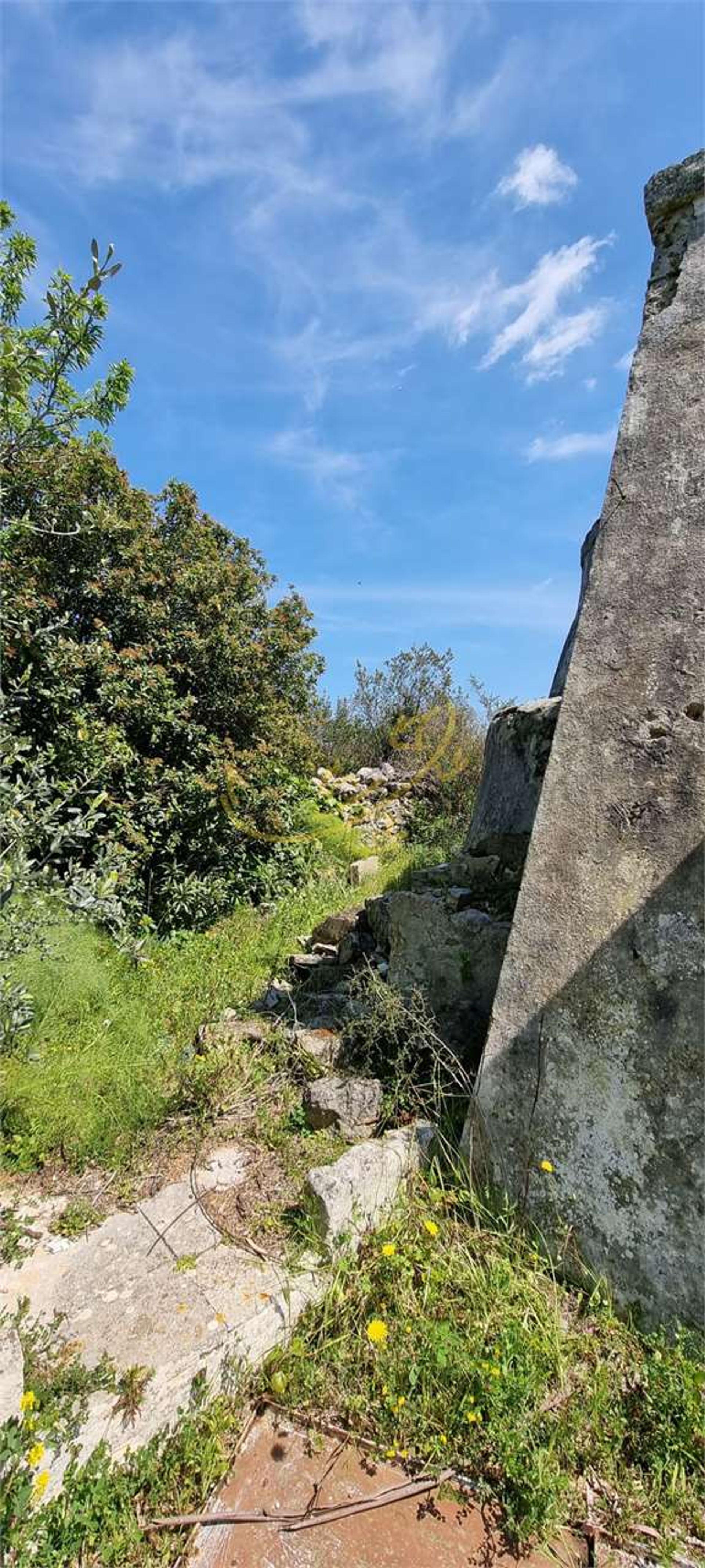 Tanah dalam Ostuni, Apulia 11728361